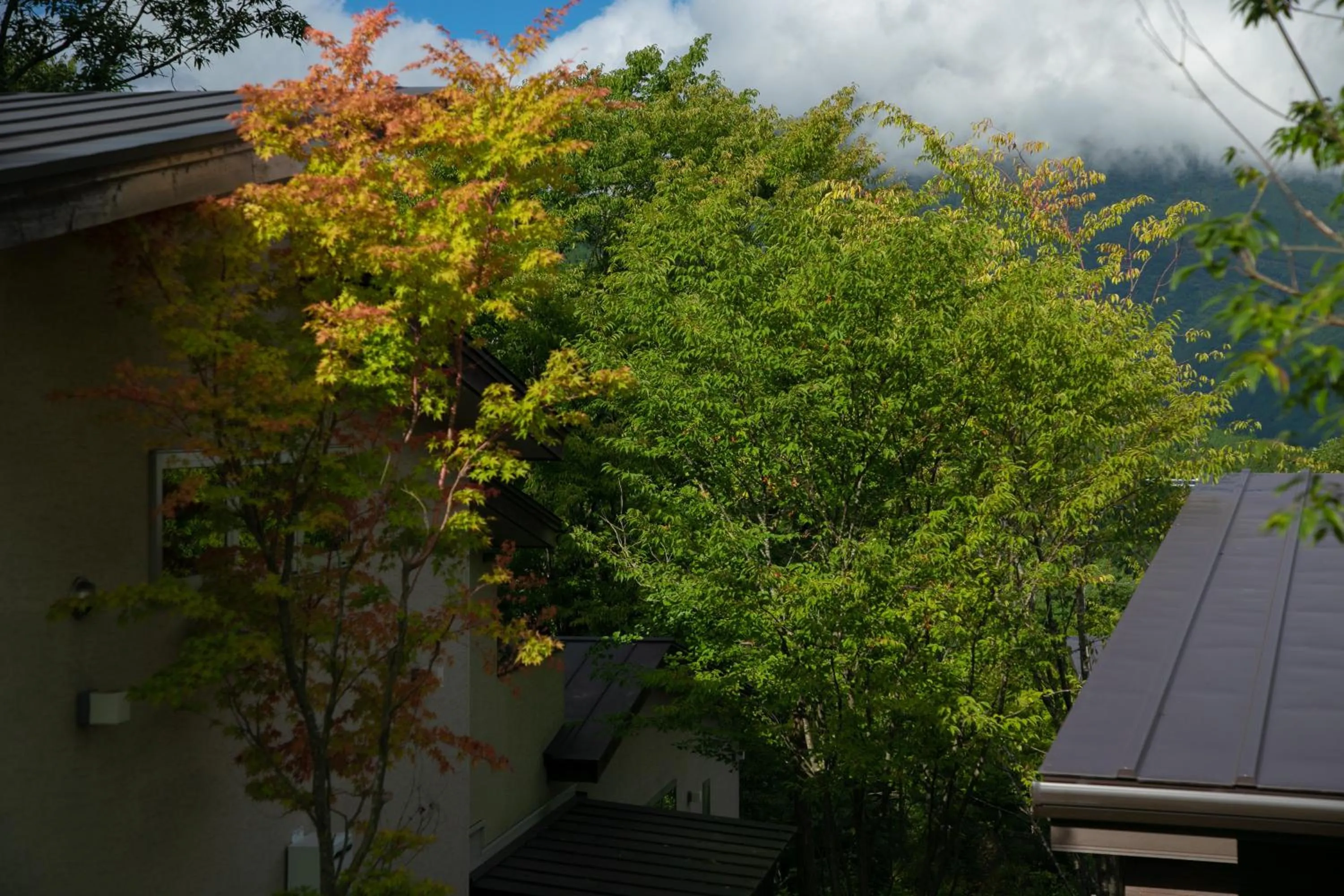 Innter Hill Tsubasa Yufuin