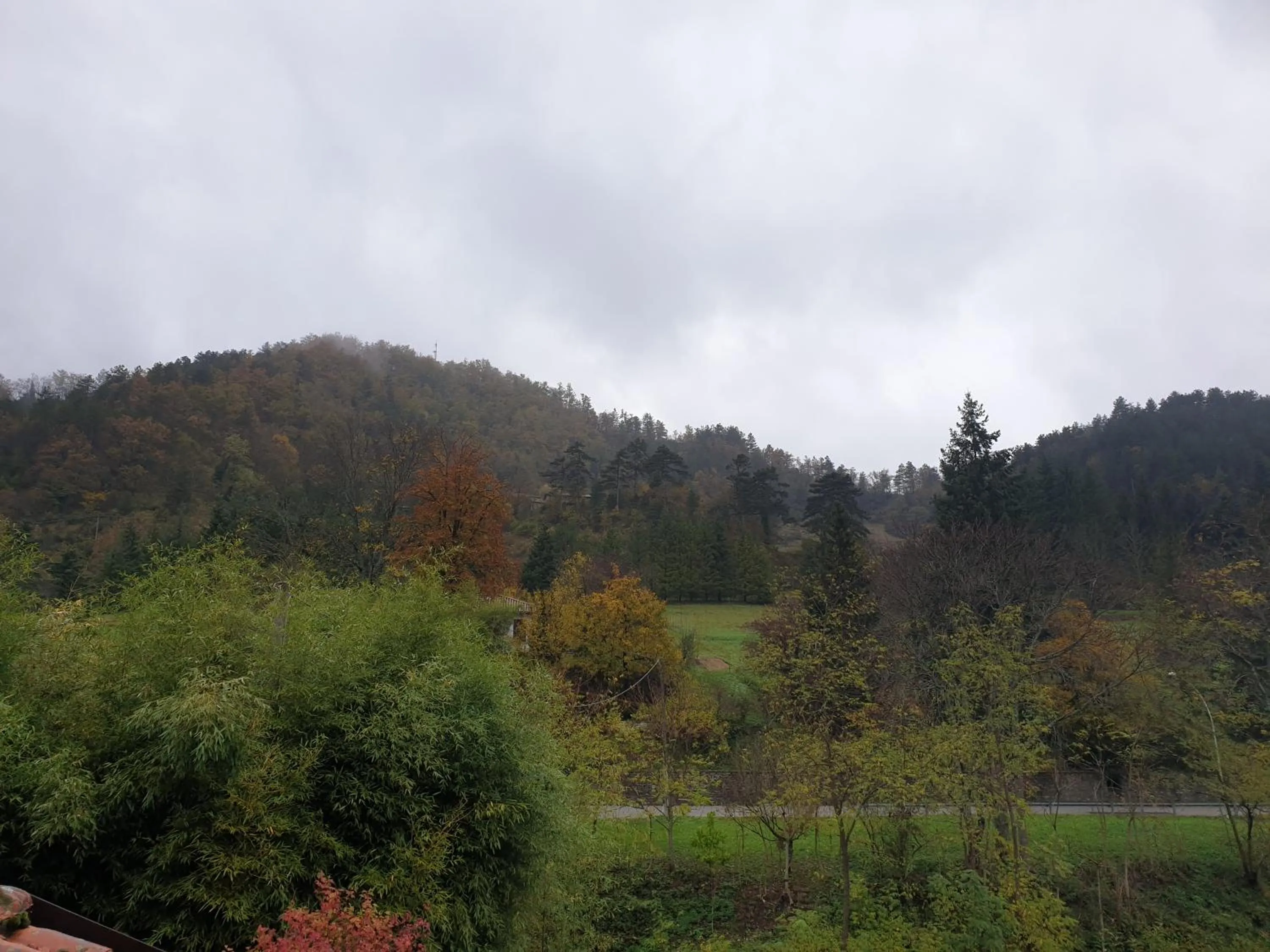 View (from property/room) in B&B il Bagarello