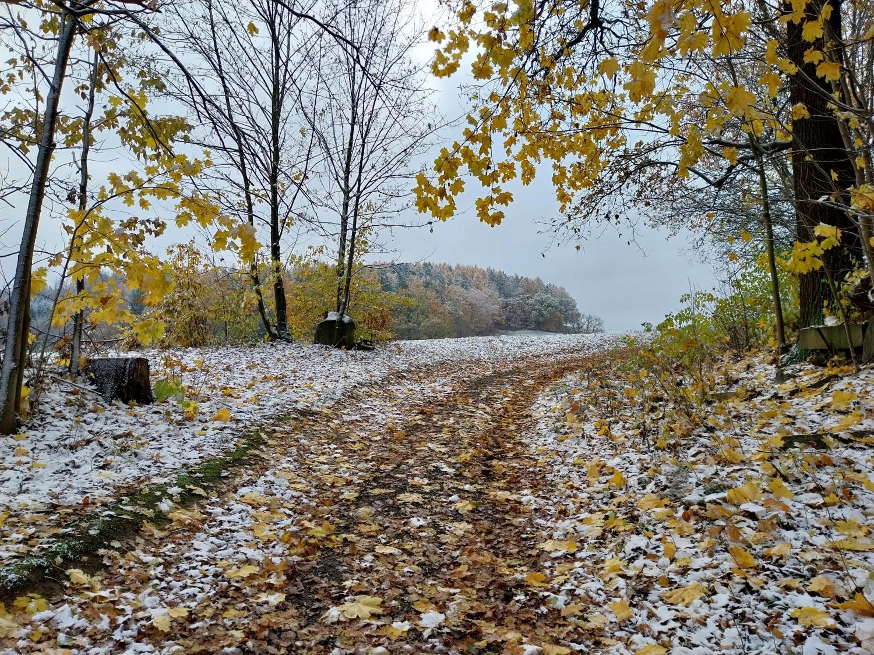 Hiking in Landhotel Waldschlößchen mit Gaststube