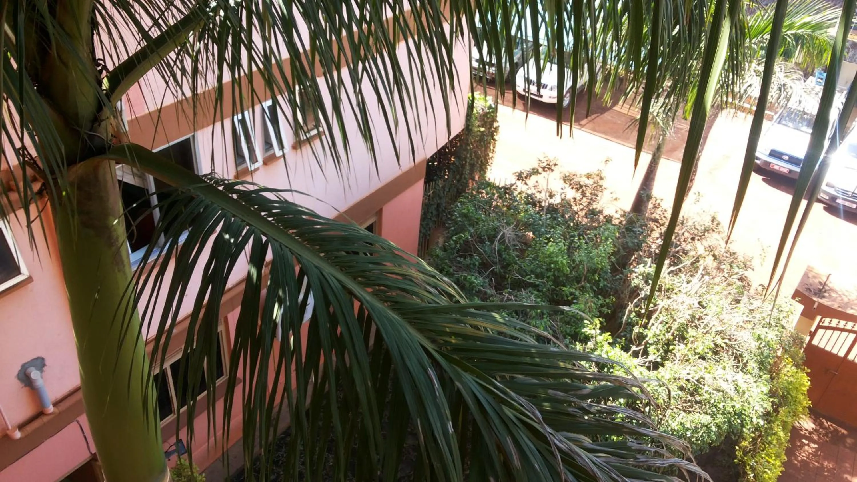 Garden in DaysInn Hotel