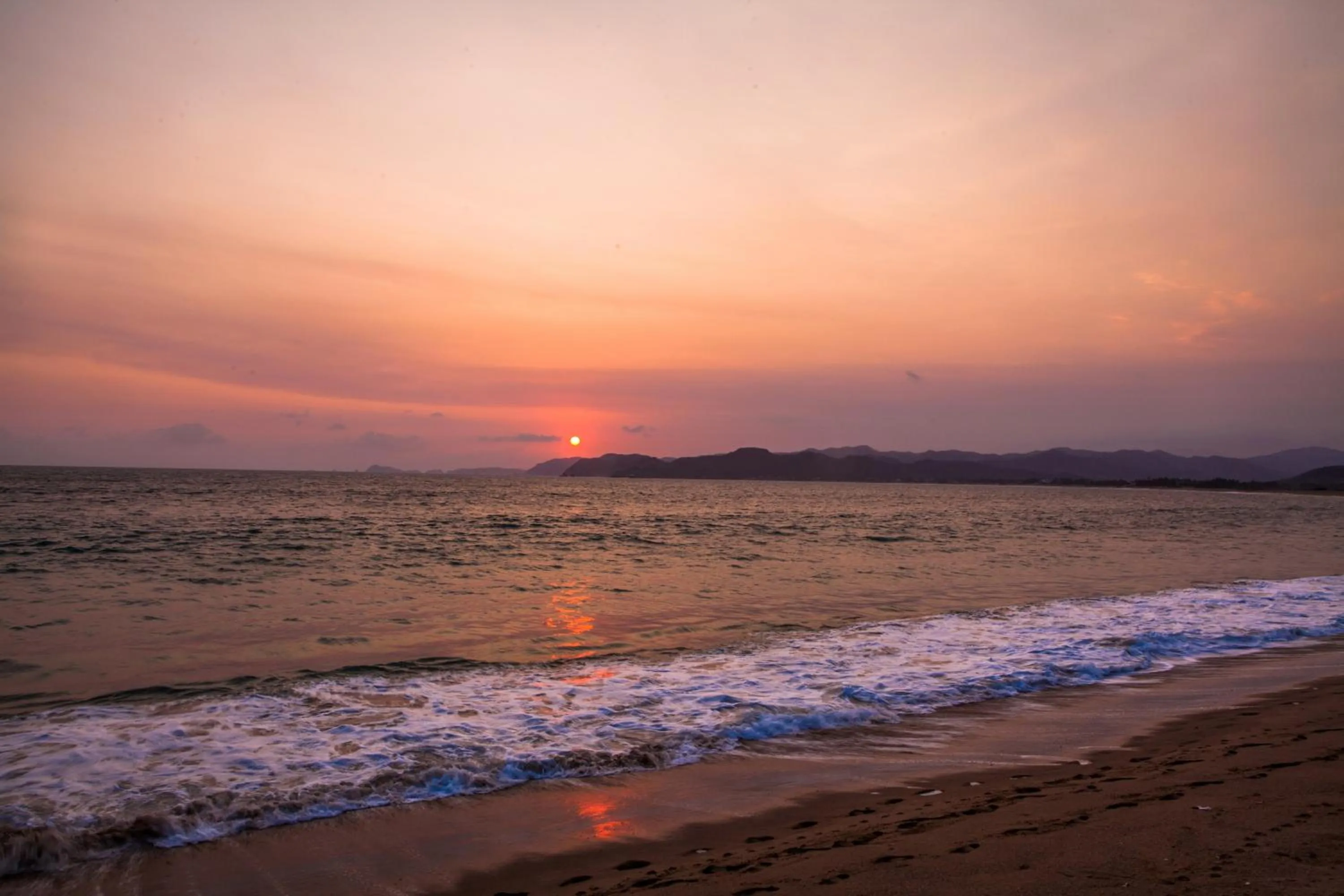 View (from property/room) in Hotel La Alondra