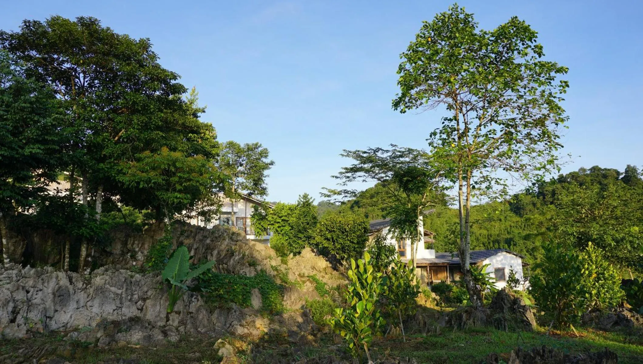 Garden in Bakhan Village Resort
