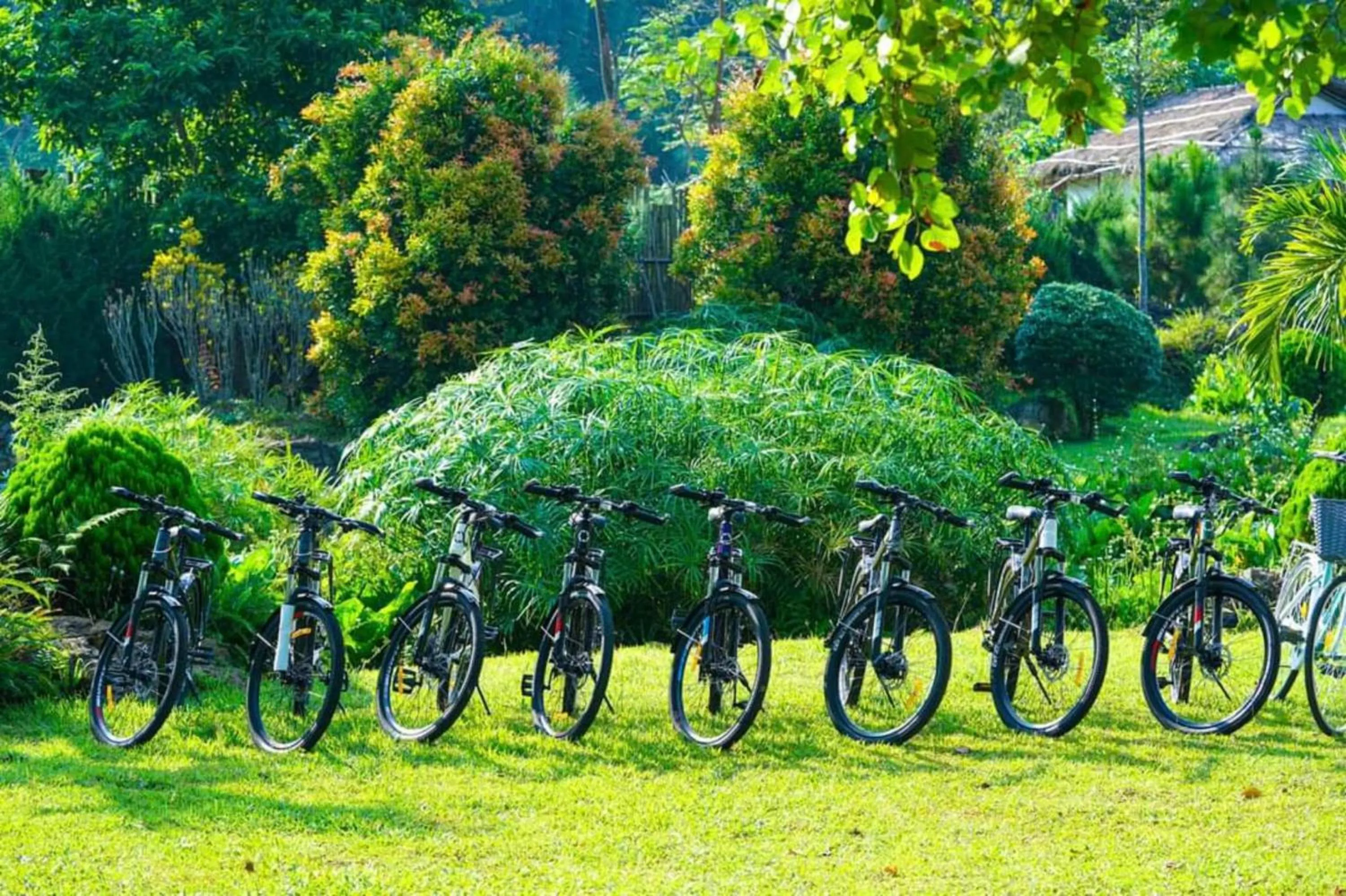 Cycling in Bakhan Village Resort