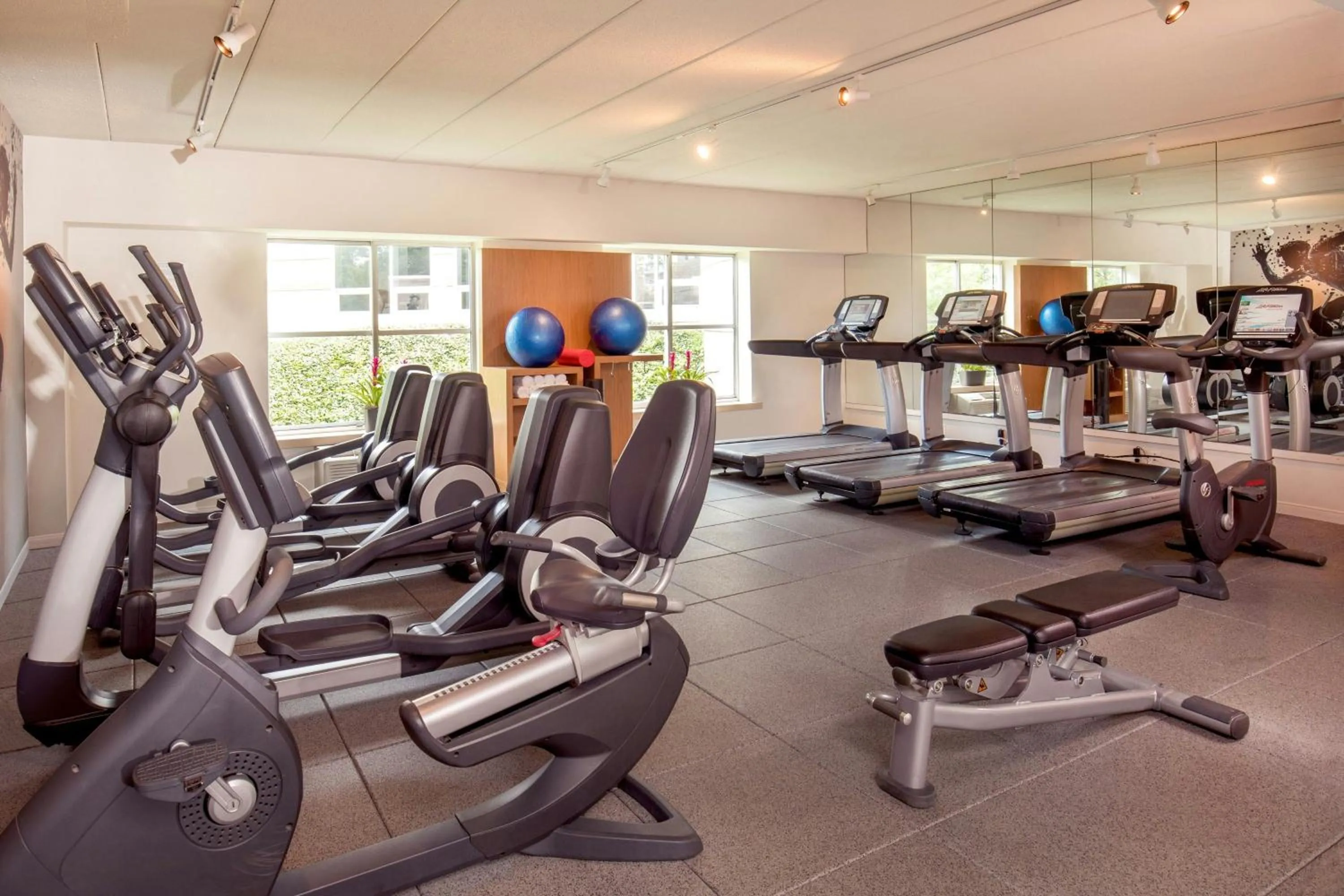 Fitness centre/facilities in Sheraton Boston Needham Hotel
