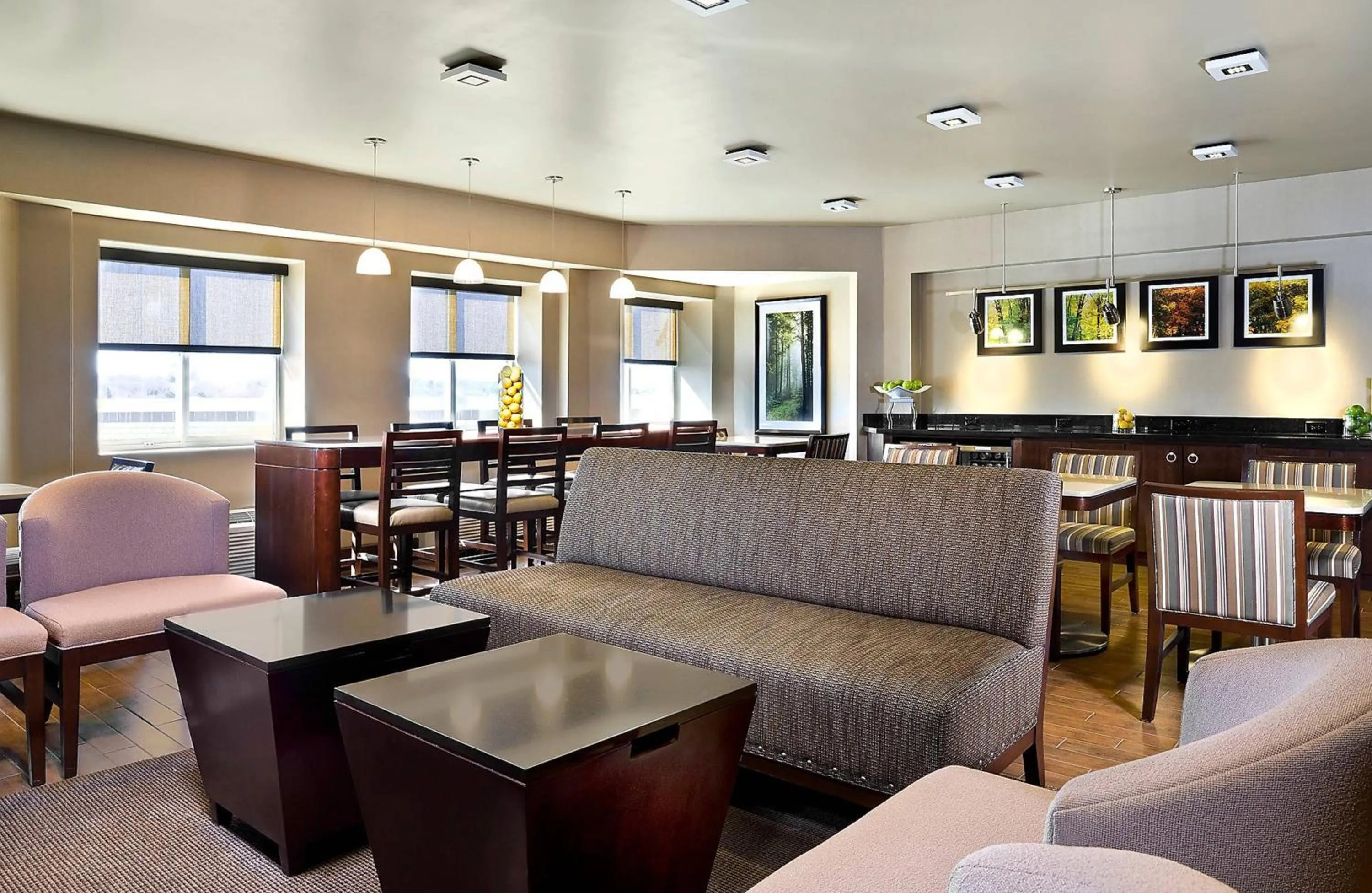 Lounge or bar in Sheraton Boston Needham Hotel