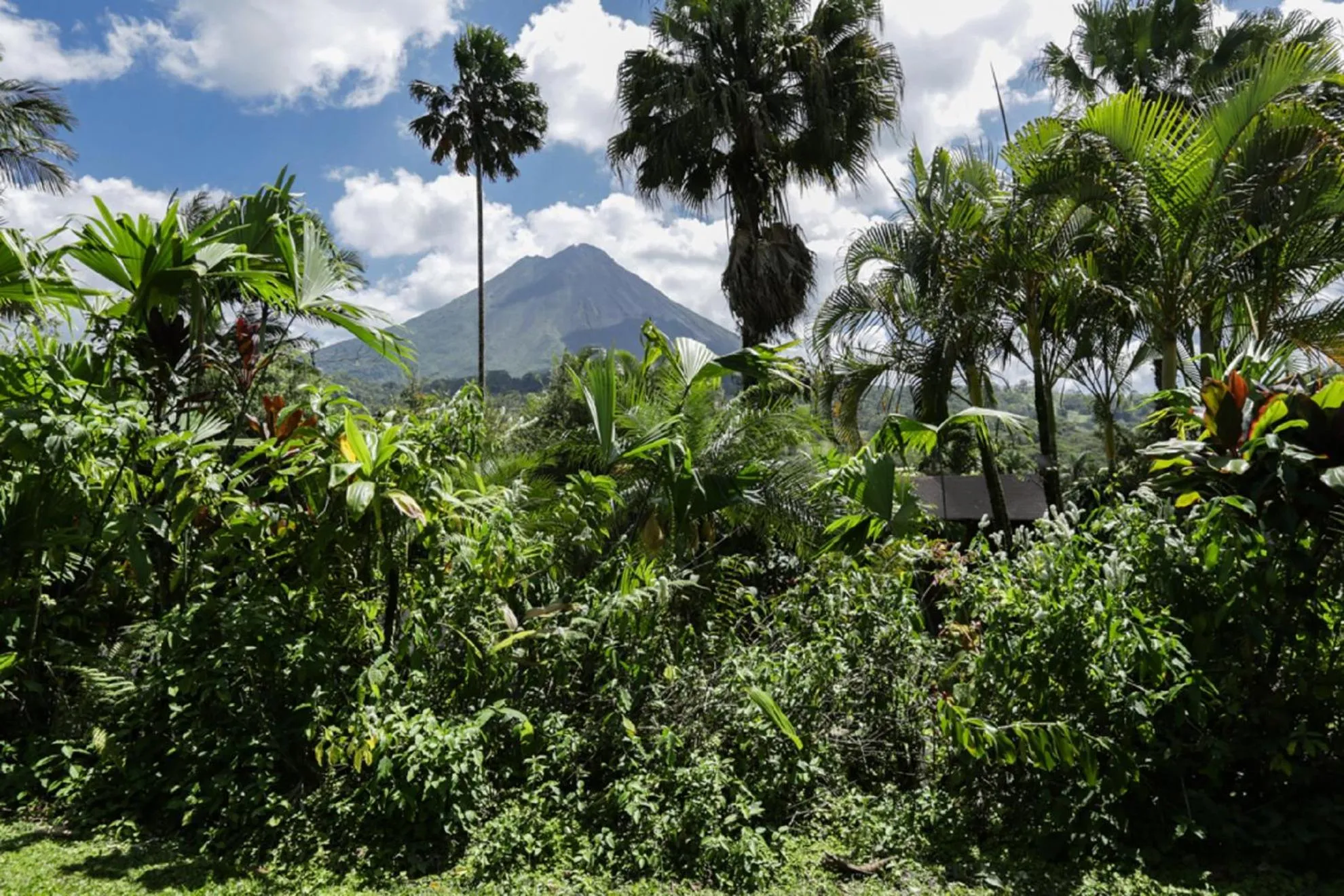 Garden in Arenal Paraiso Resort Spa & Thermo Mineral Hot Springs