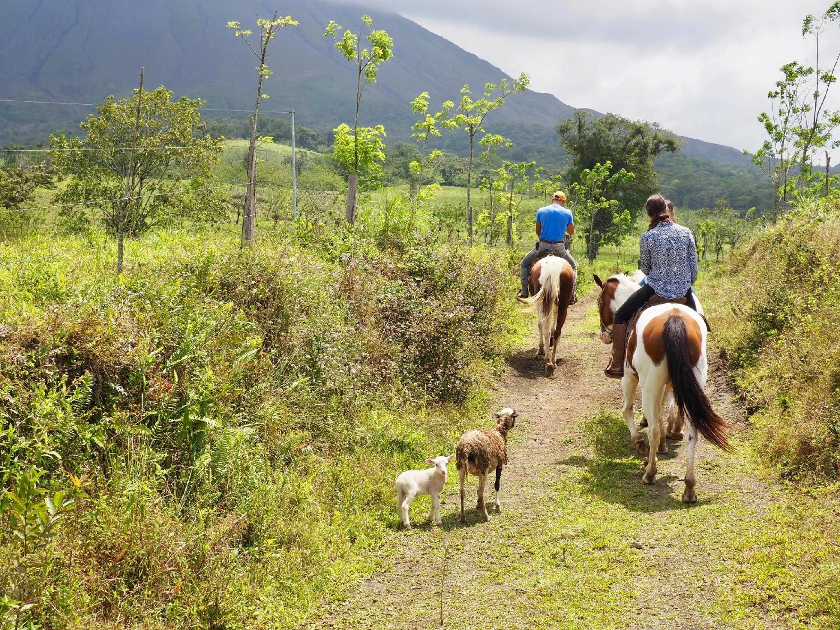 Horse-riding in Arenal Paraiso Resort Spa & Thermo Mineral Hot Springs