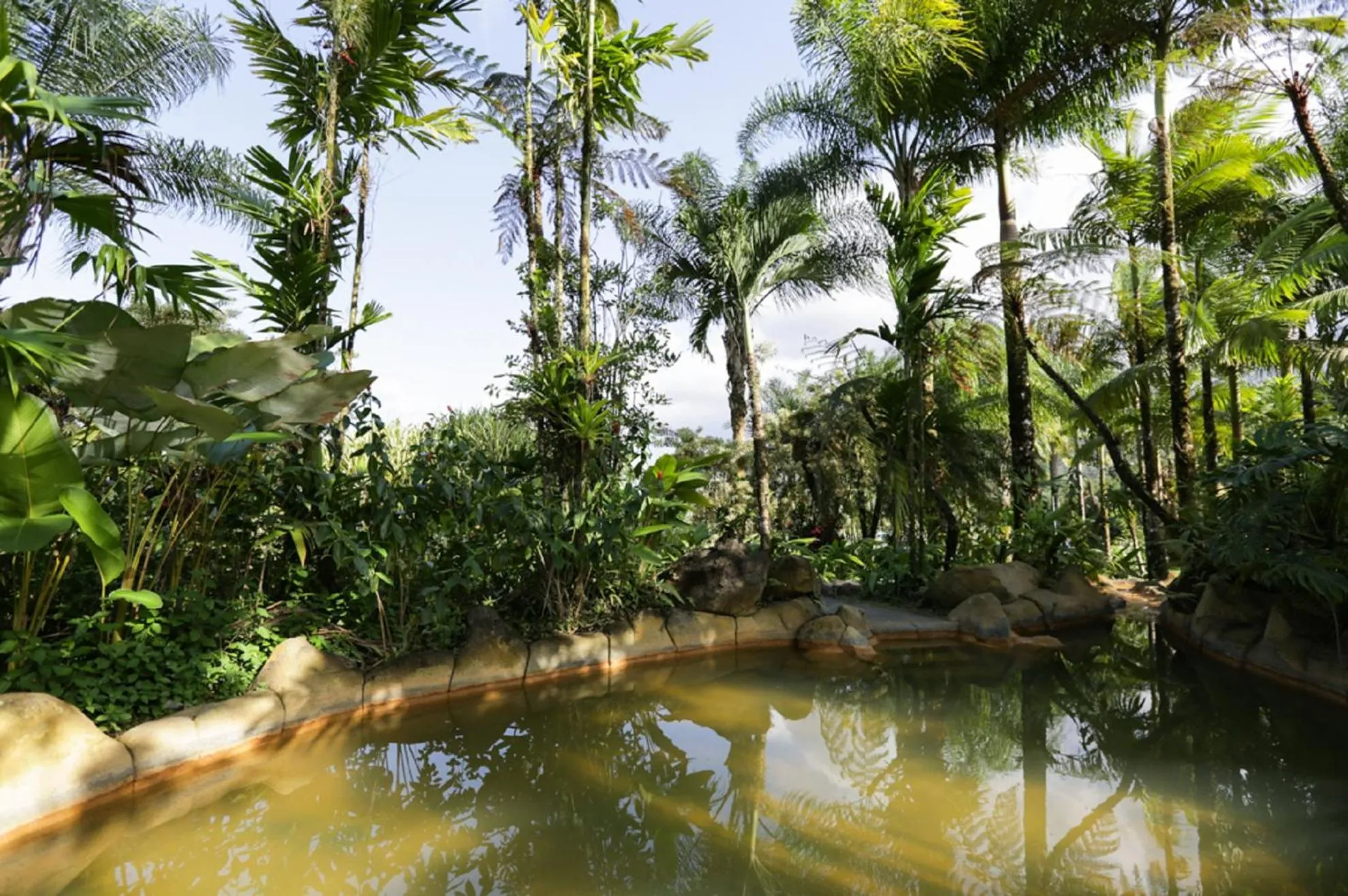 Area and facilities in Arenal Paraiso Resort Spa & Thermo Mineral Hot Springs