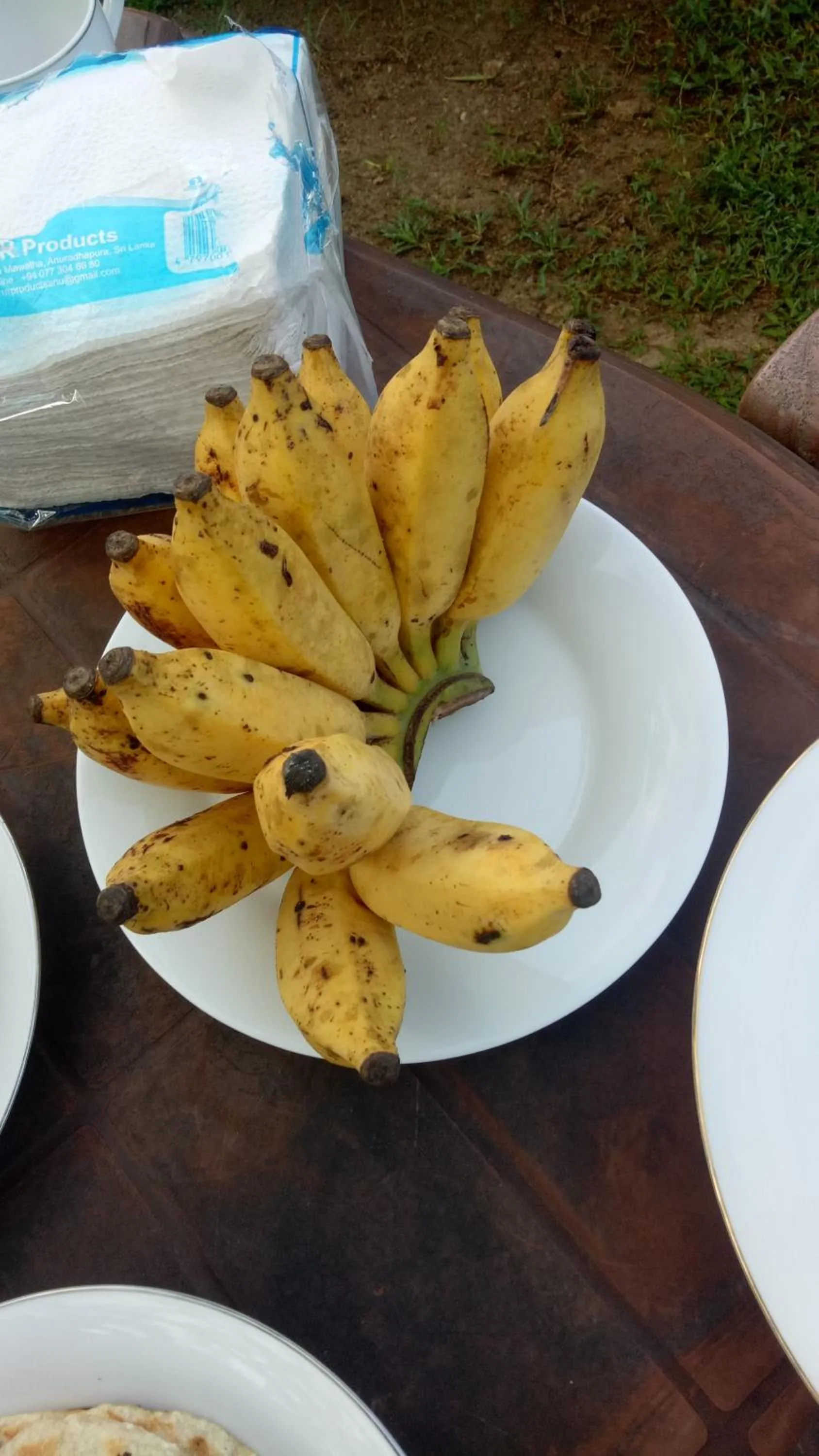 Breakfast in heritage thambapanni