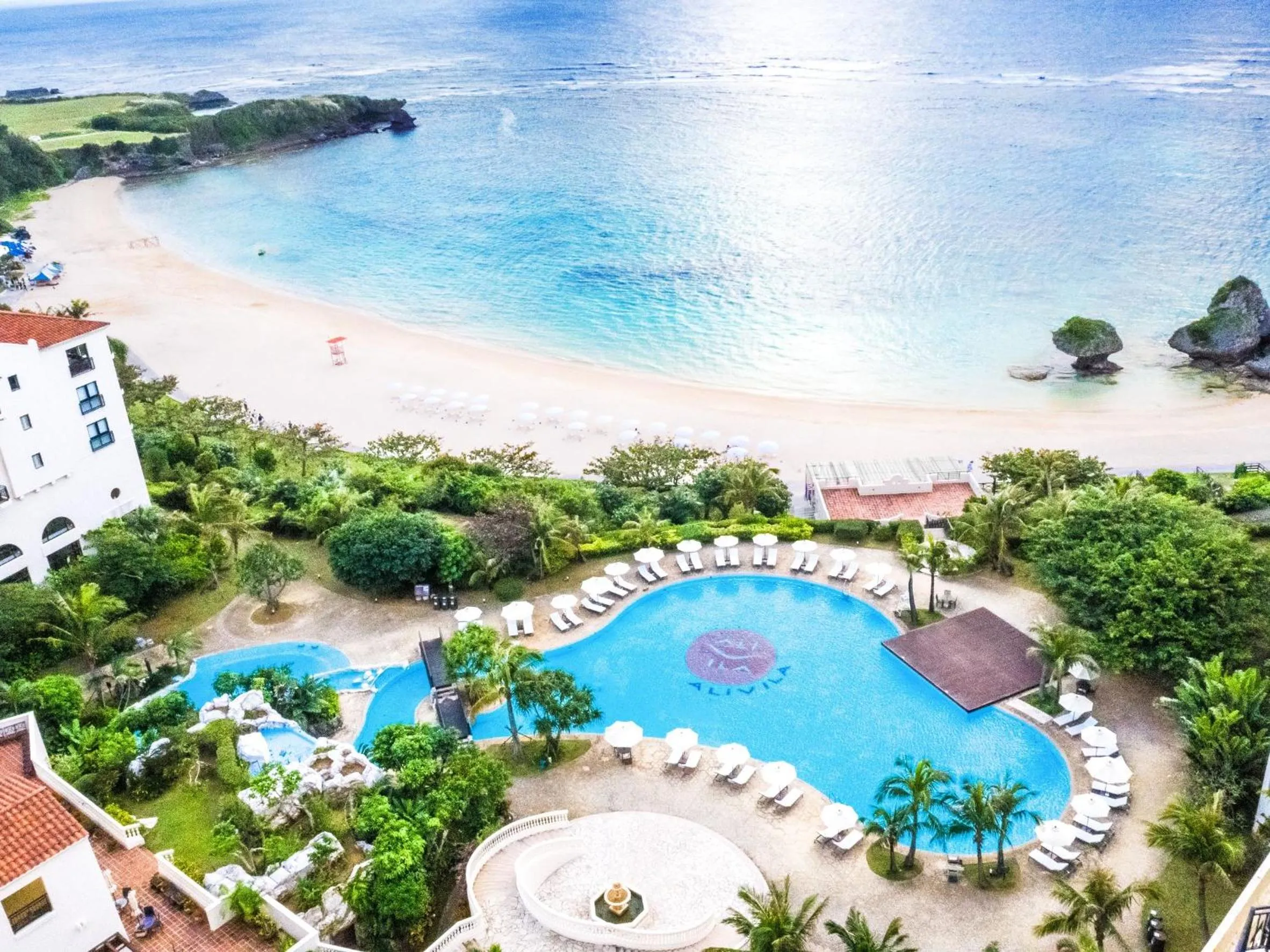 View (from property/room) in Hotel Nikko Alivila