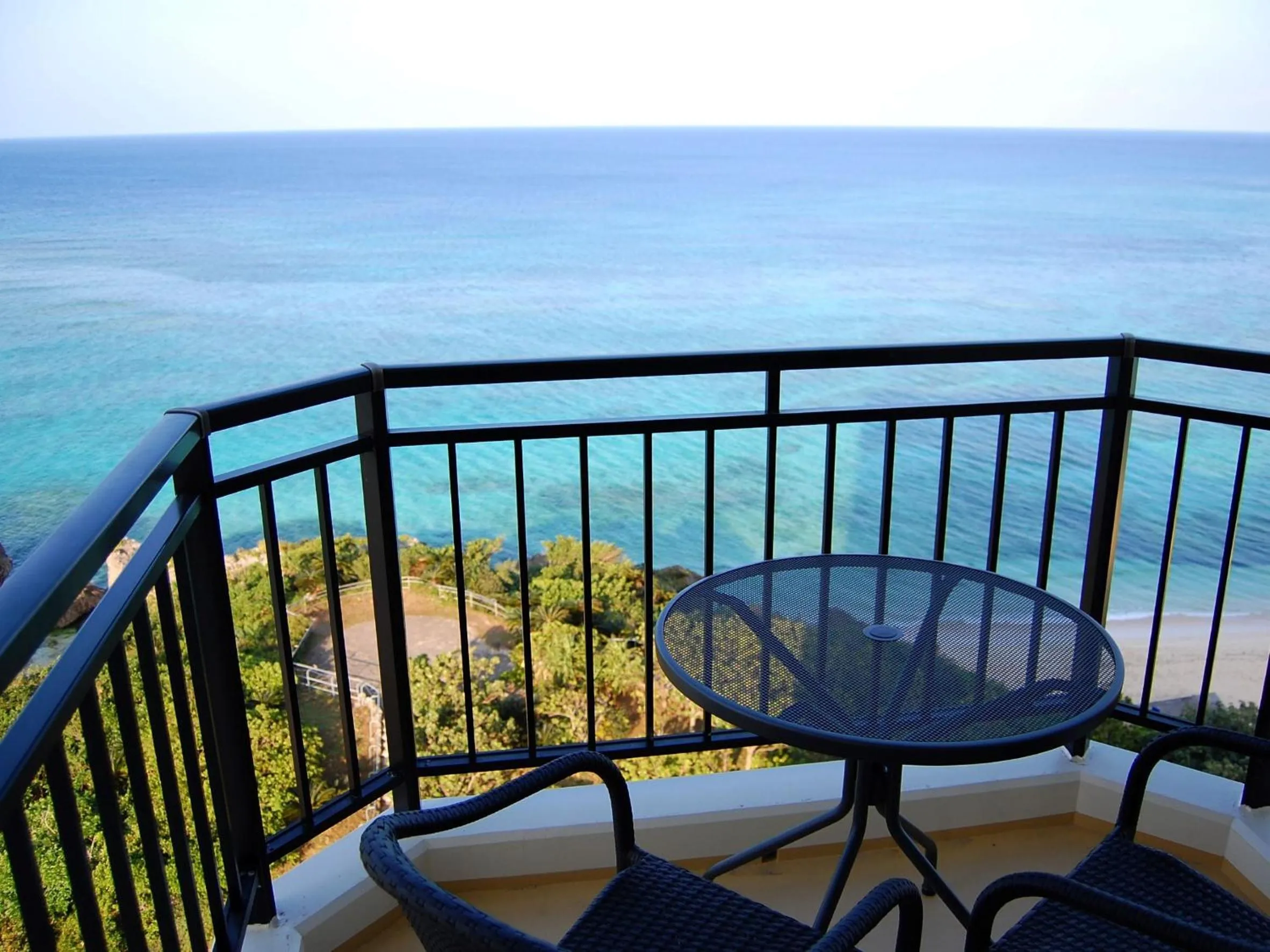 View (from property/room) in Hotel Nikko Alivila