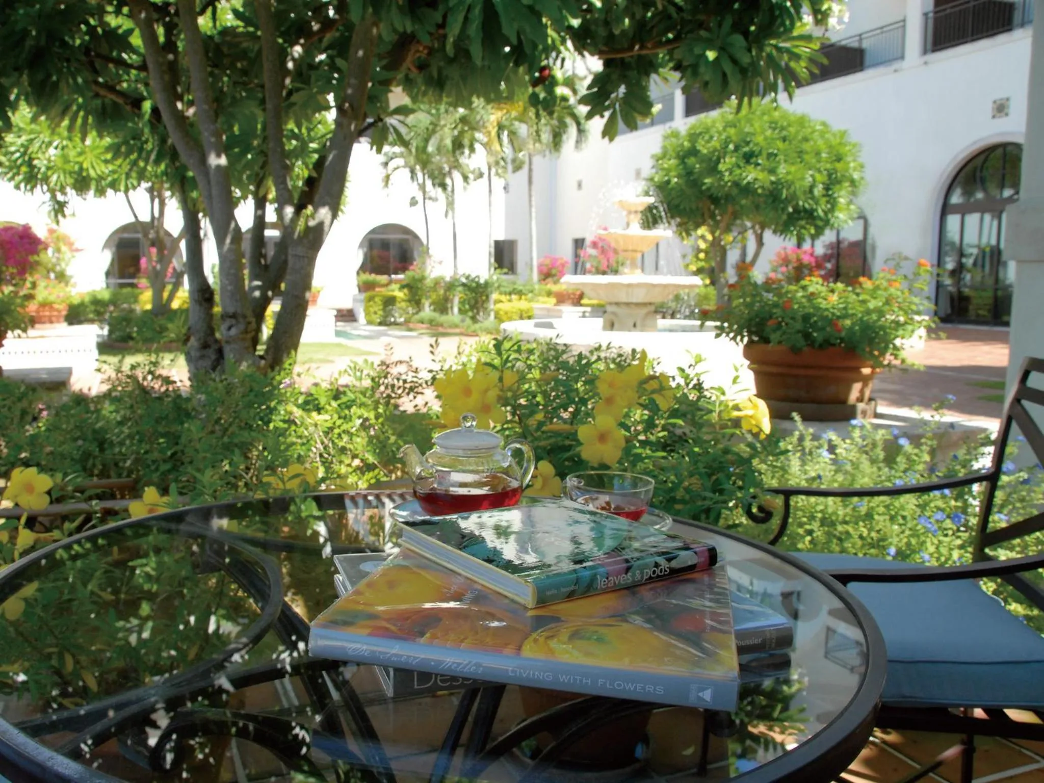 Garden in Hotel Nikko Alivila