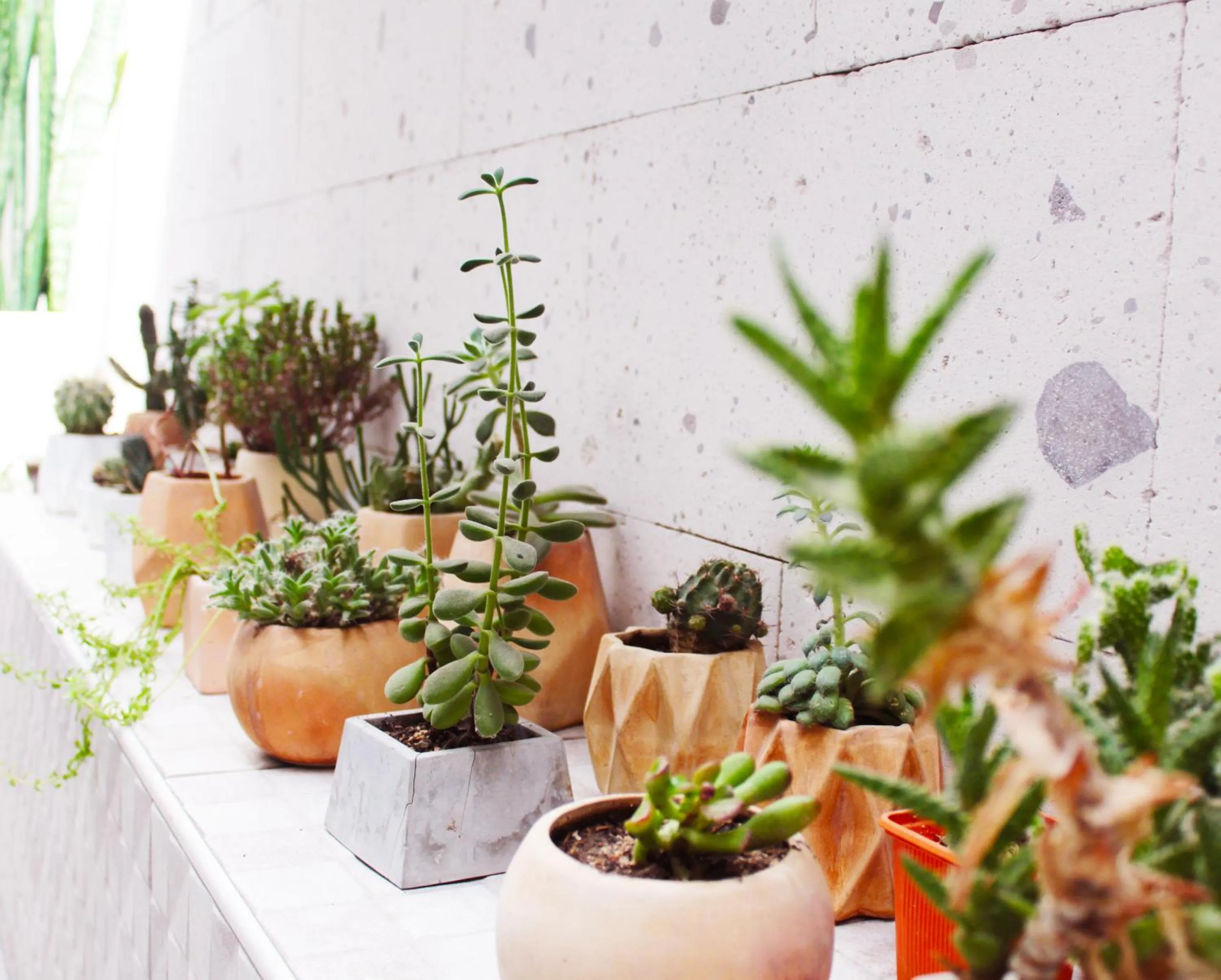 Communal lounge/ TV room in Hotel La Casa de Irma