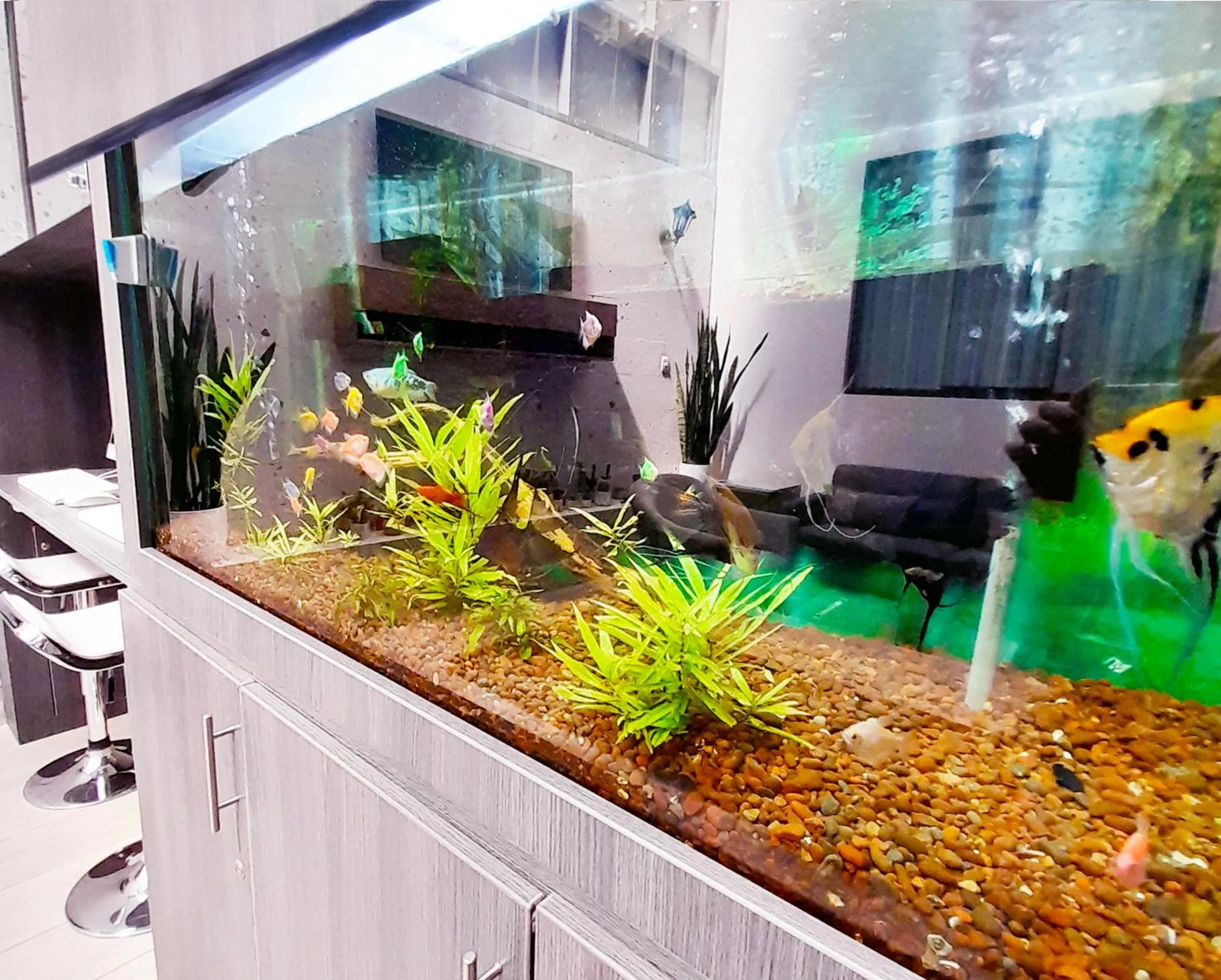 Living room in Hotel La Casa de Irma