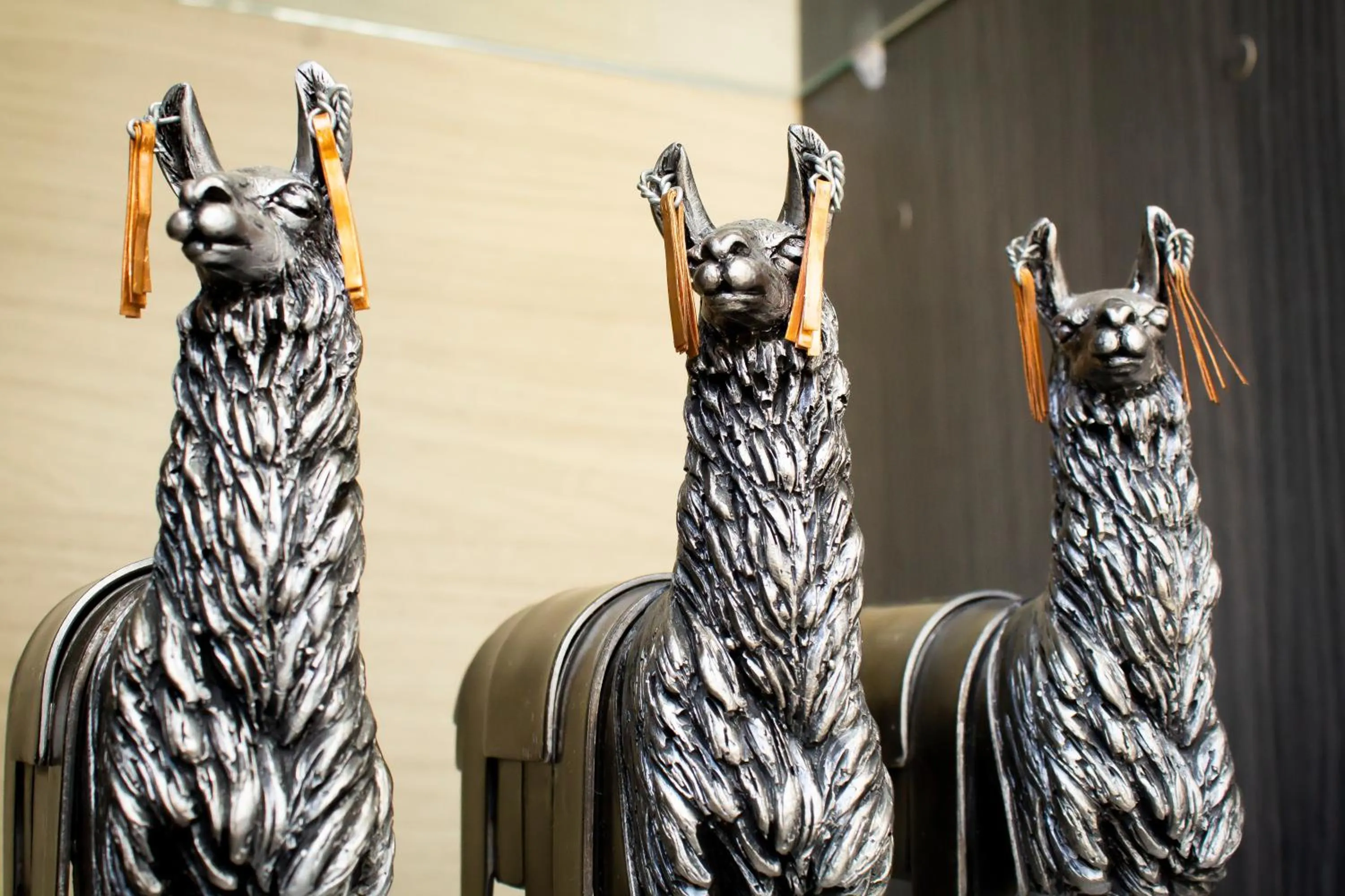 Communal lounge/ TV room in Hotel La Casa de Irma