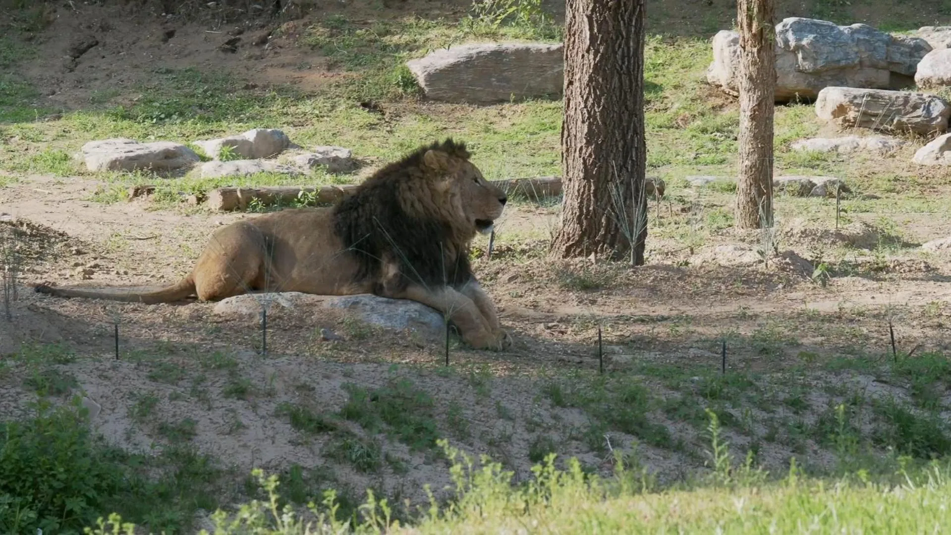 Hampton by Hilton Qinhuangdao Jinmeng Bay