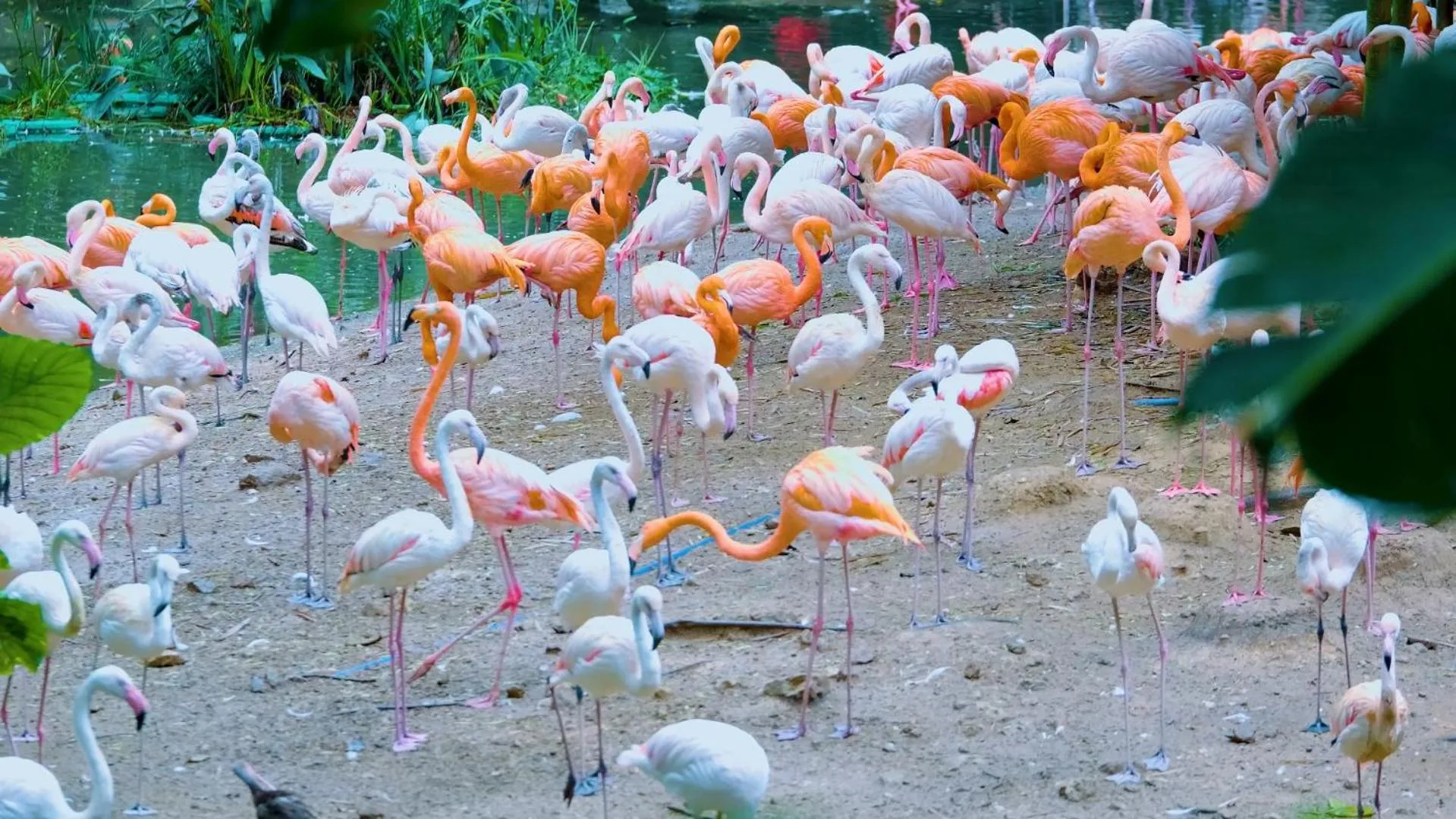 Hampton by Hilton Qinhuangdao Jinmeng Bay