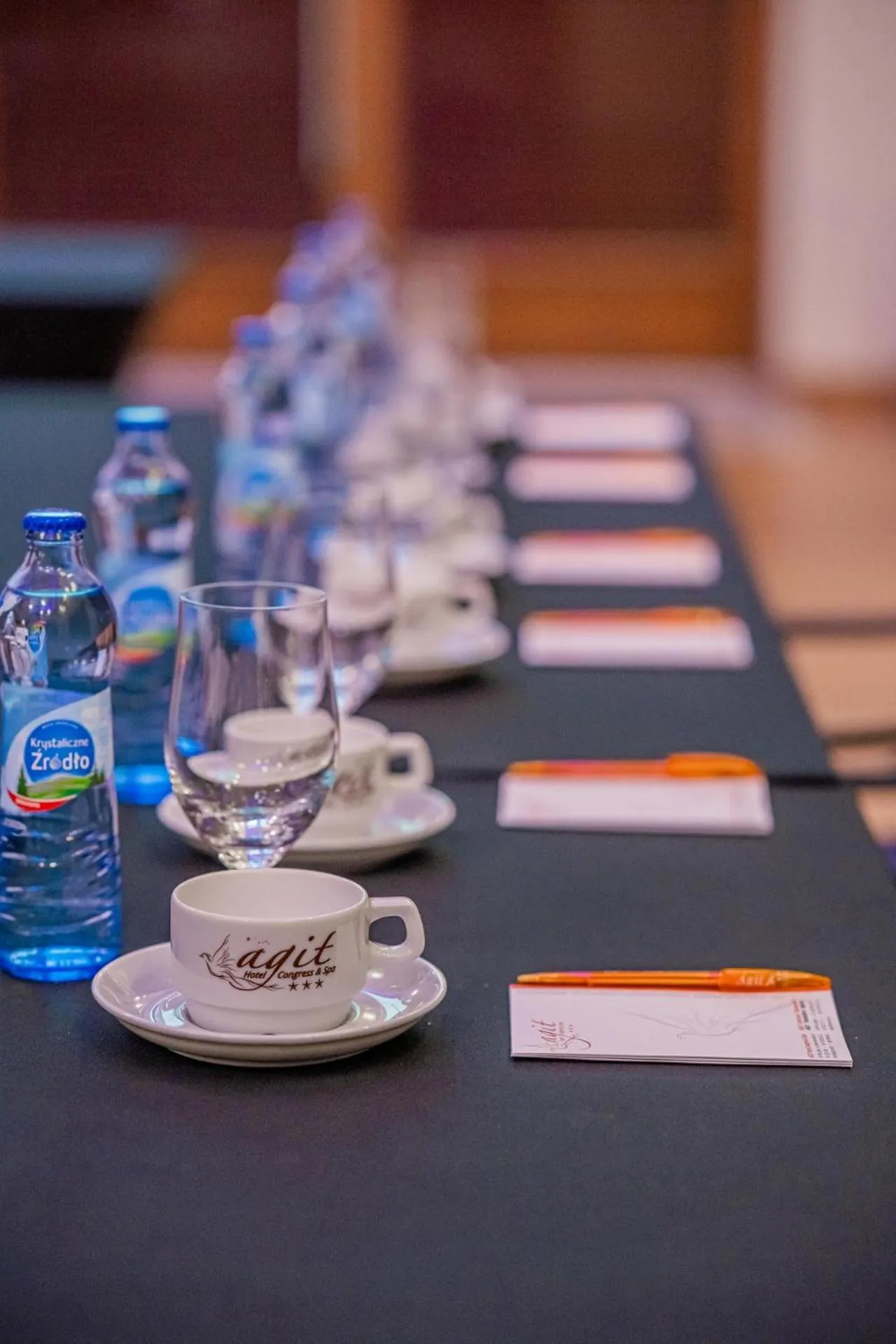 Meeting/conference room in Hotel Agit Congress&Spa