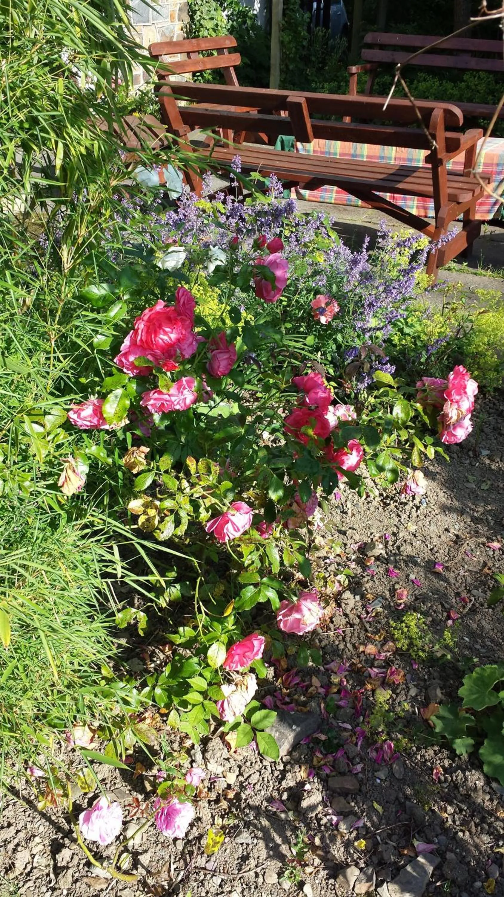 Patio in Riverfield Bed and Breakfast
