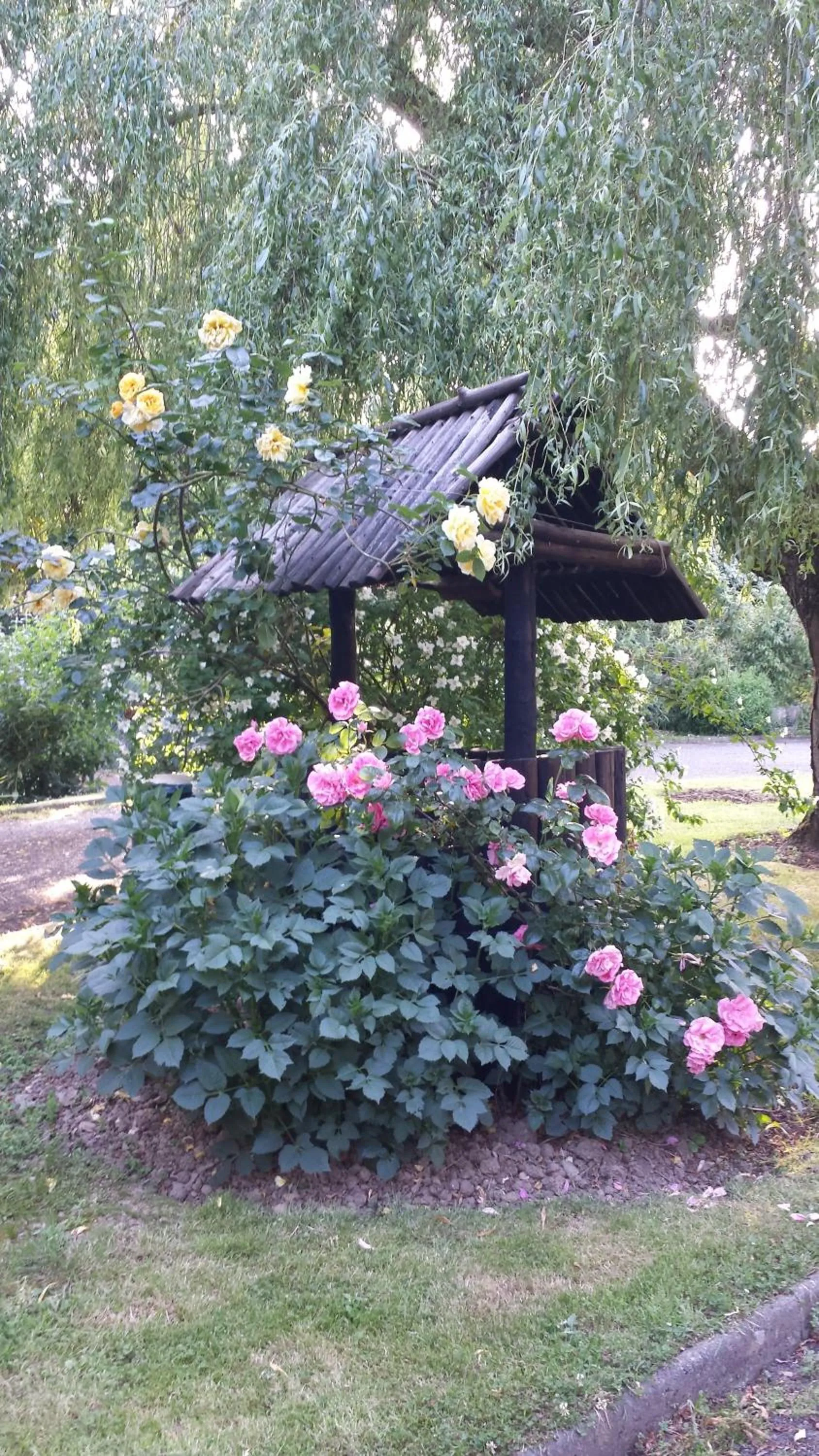 Garden in Riverfield Bed and Breakfast