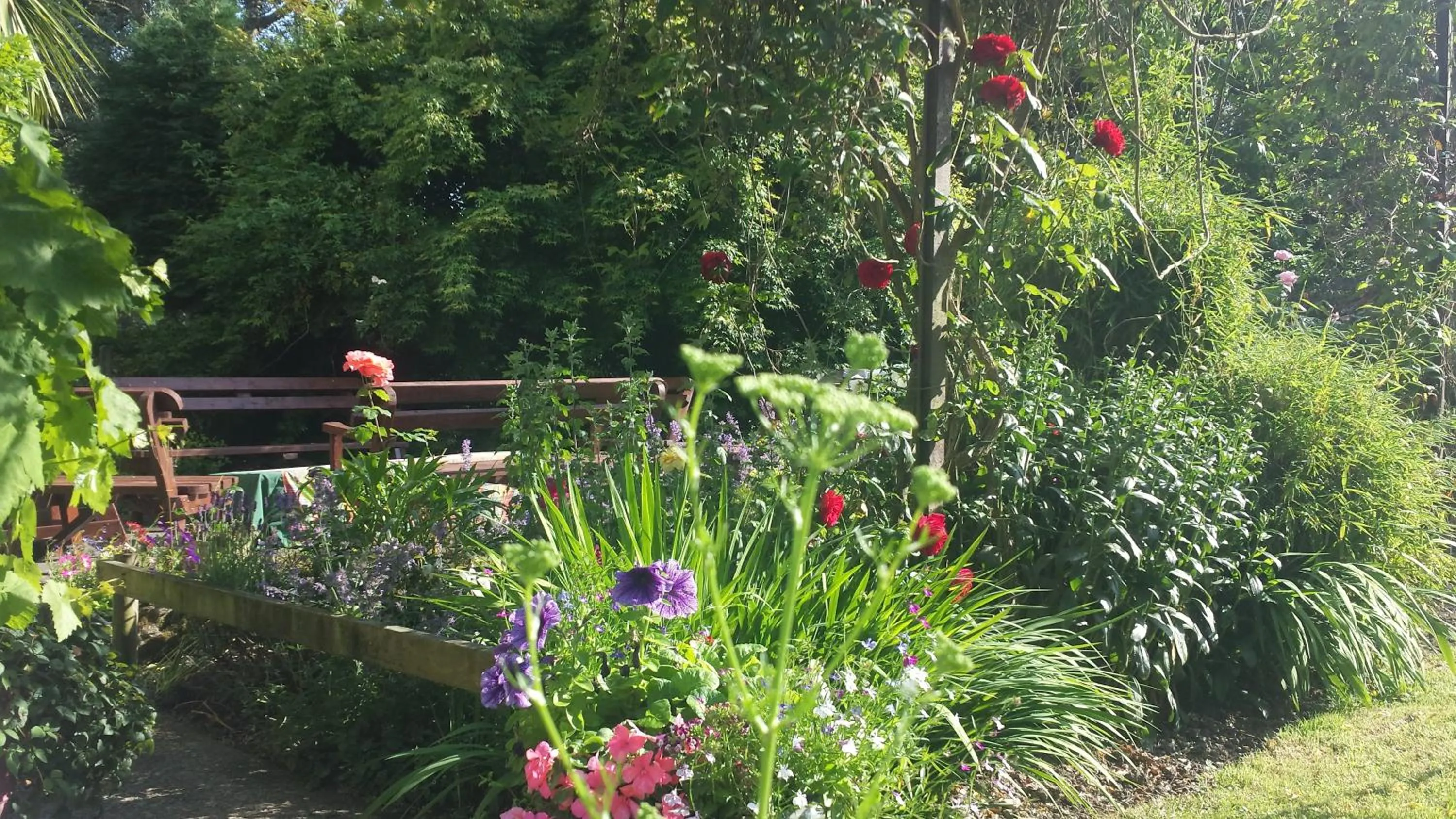 Garden in Riverfield Bed and Breakfast