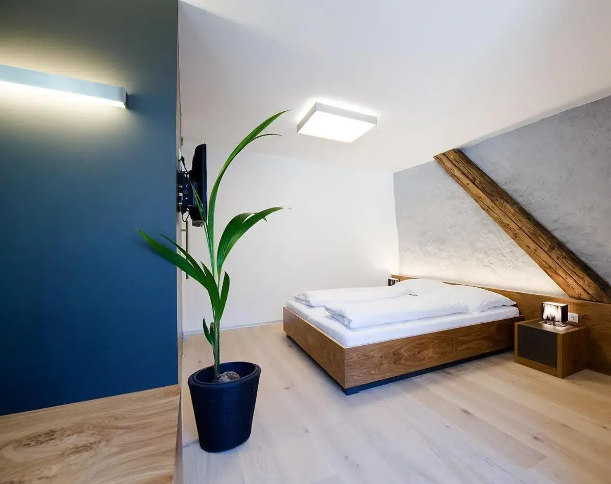 Double Room with Shower - single occupancy in Appartement-Hotel GH Zum Goldenen Schiff Double Room with Shower - single occupancy in Appartement-Hotel GH Zum Goldenen Schiff