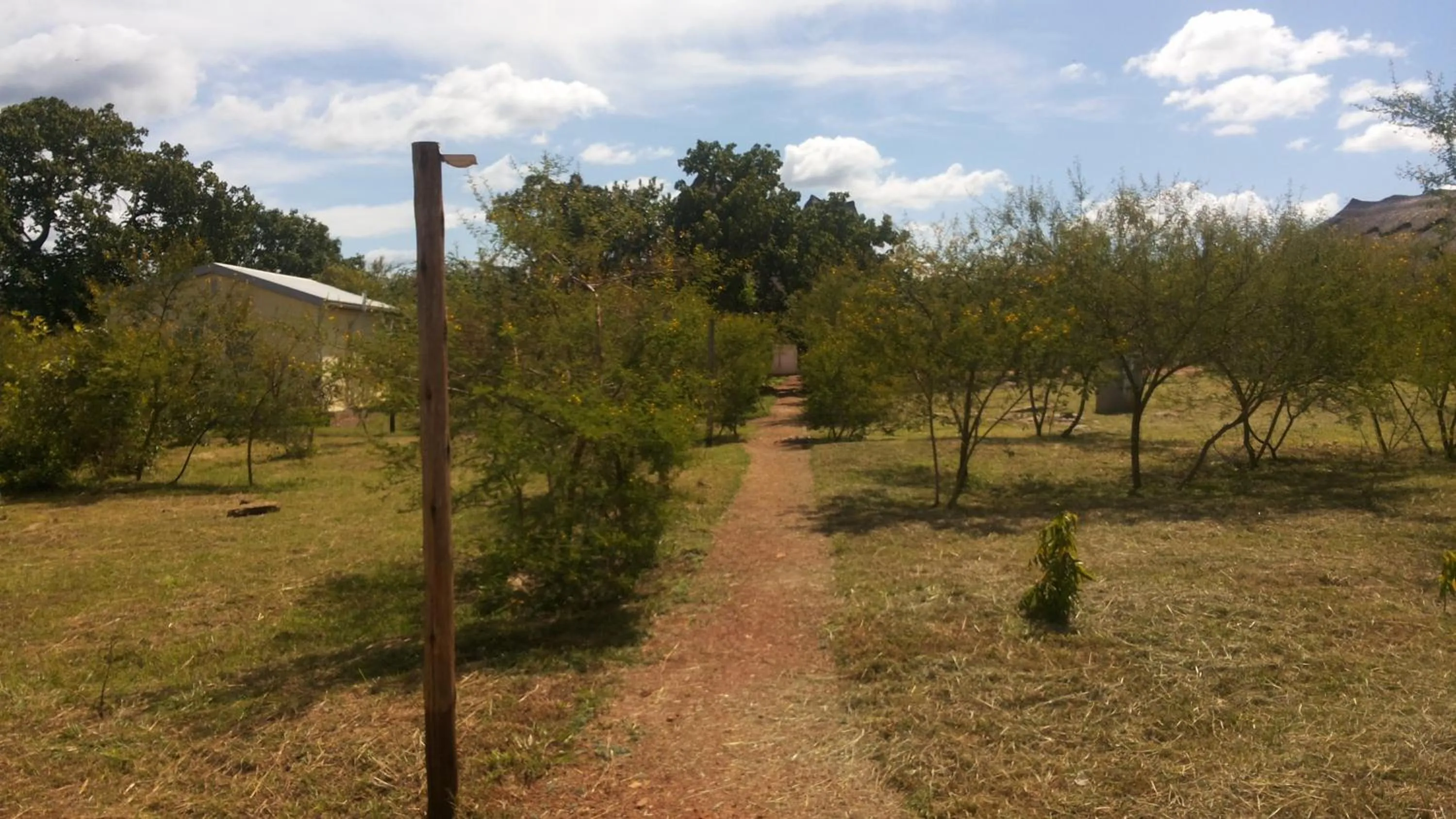 Garden in Terrain Hotel
