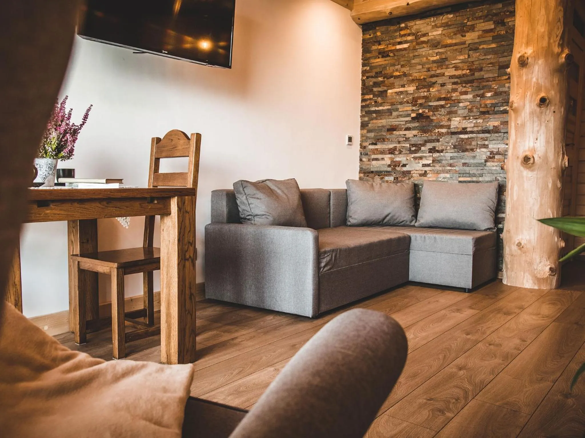 TV and multimedia in Dom Tatrzański Ewa Deluxe