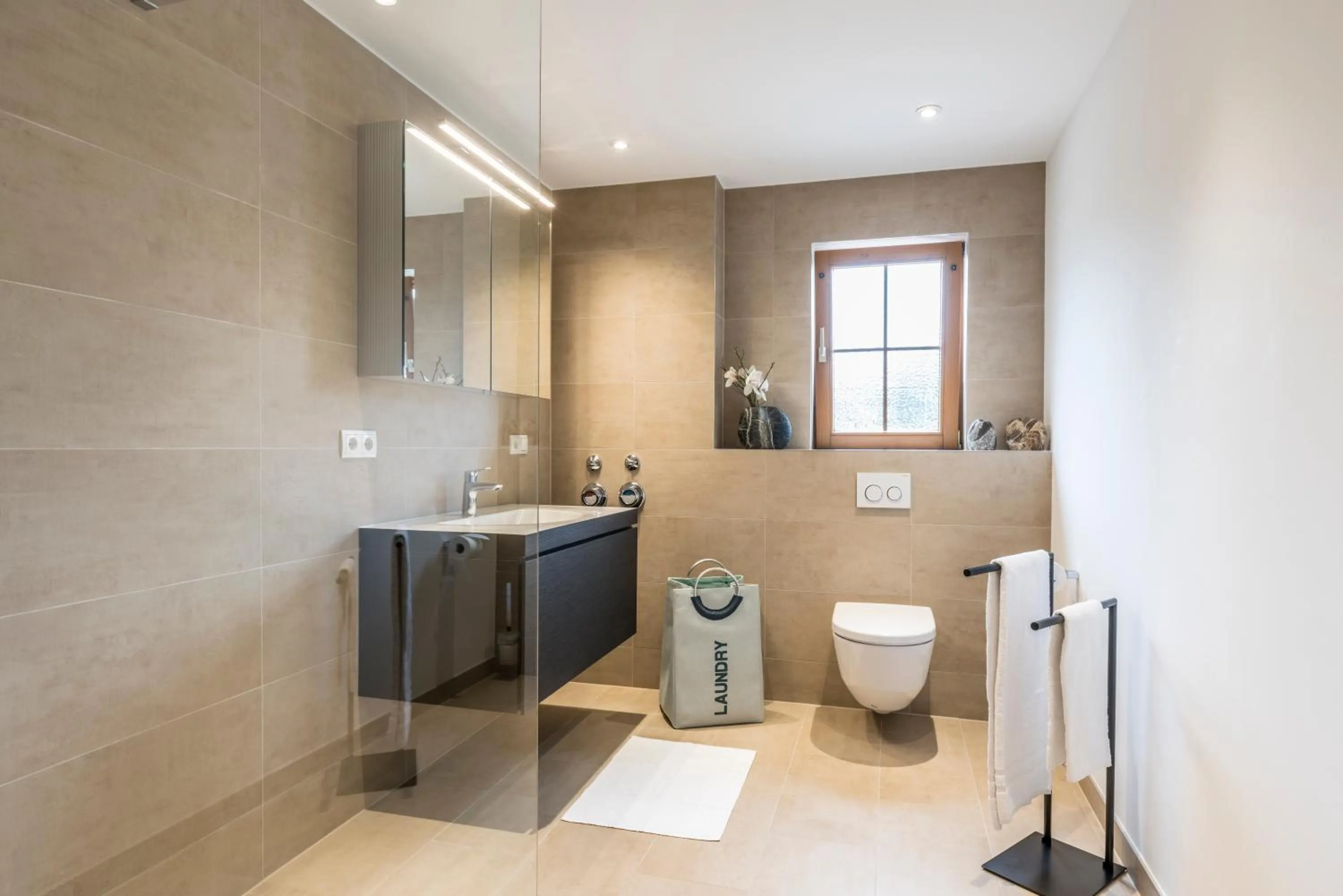 Toilet in RH-Appartements 15 Minuten von Basel im Dorf Rührberg