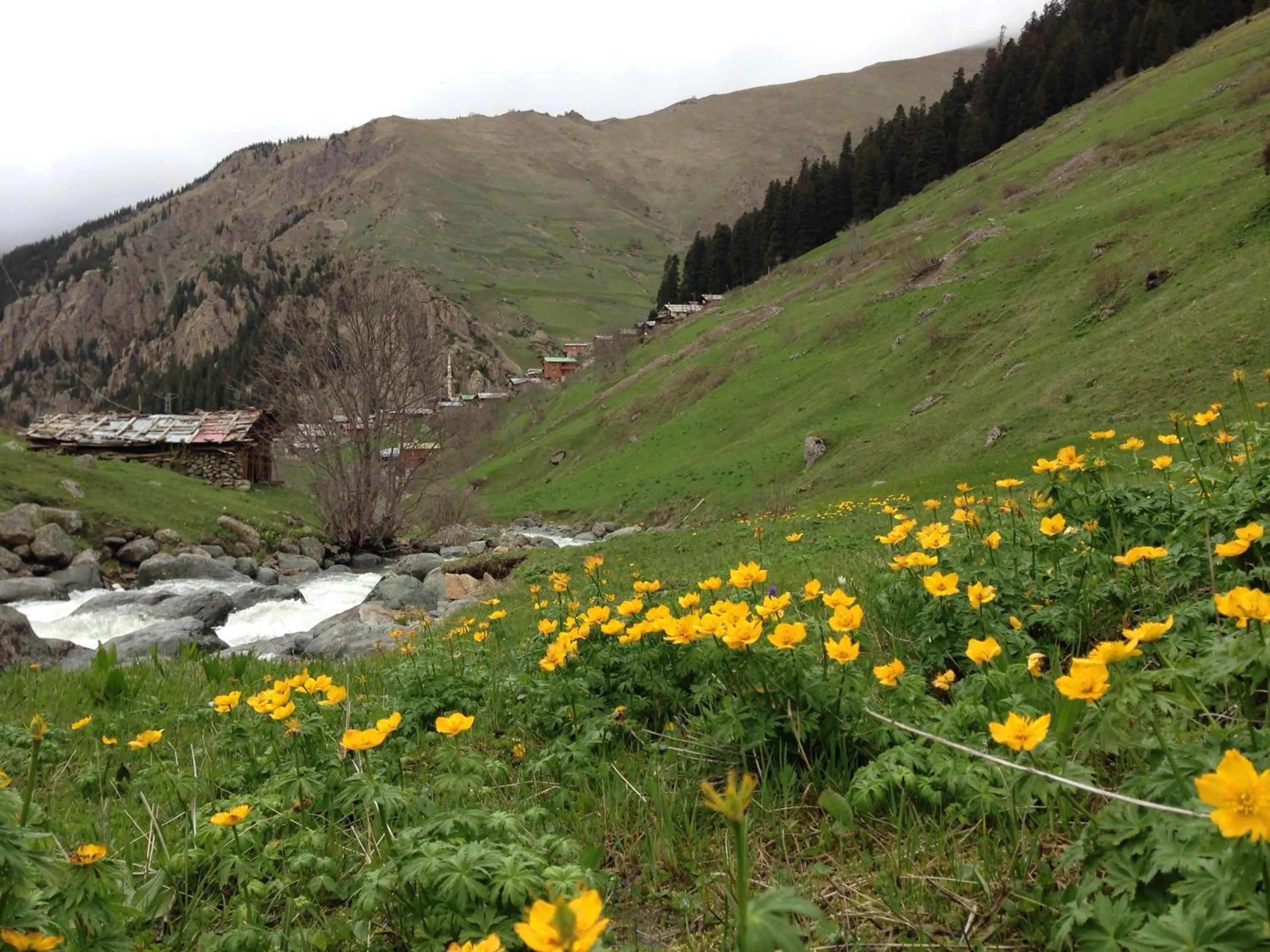 Other in Yedigoller Hotel & Restaurant