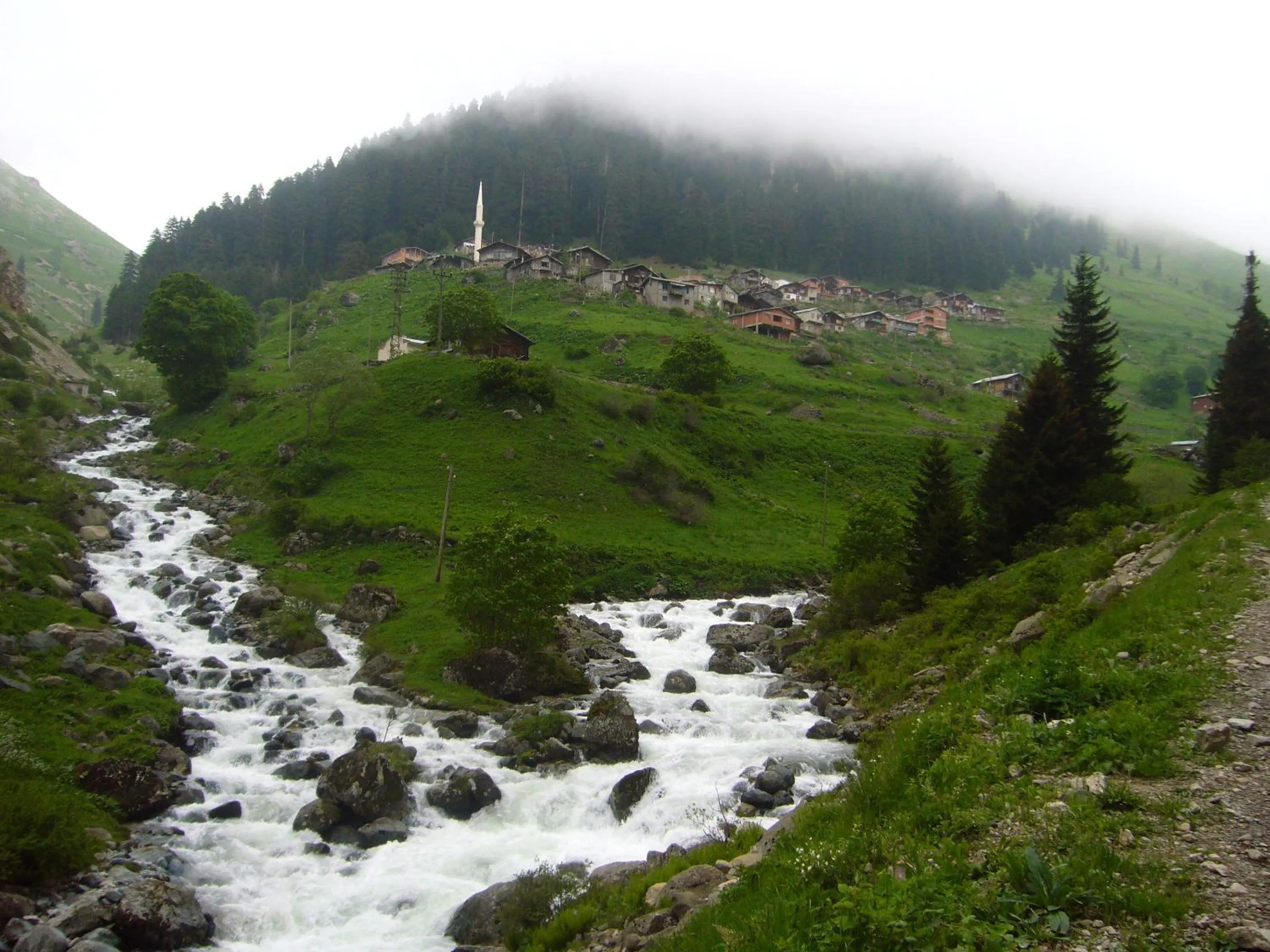 Area and facilities in Yedigoller Hotel & Restaurant