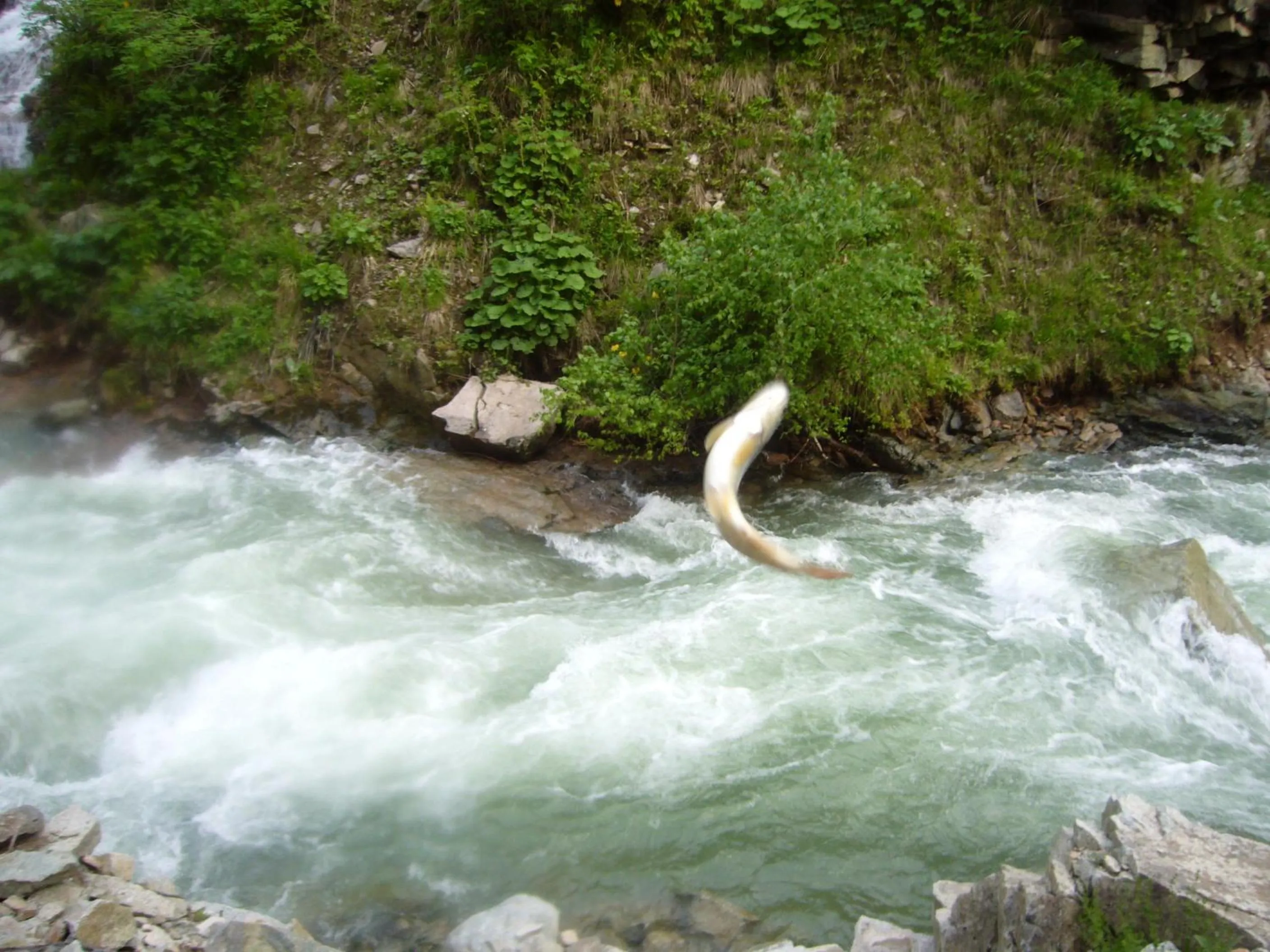 Other in Yedigoller Hotel & Restaurant