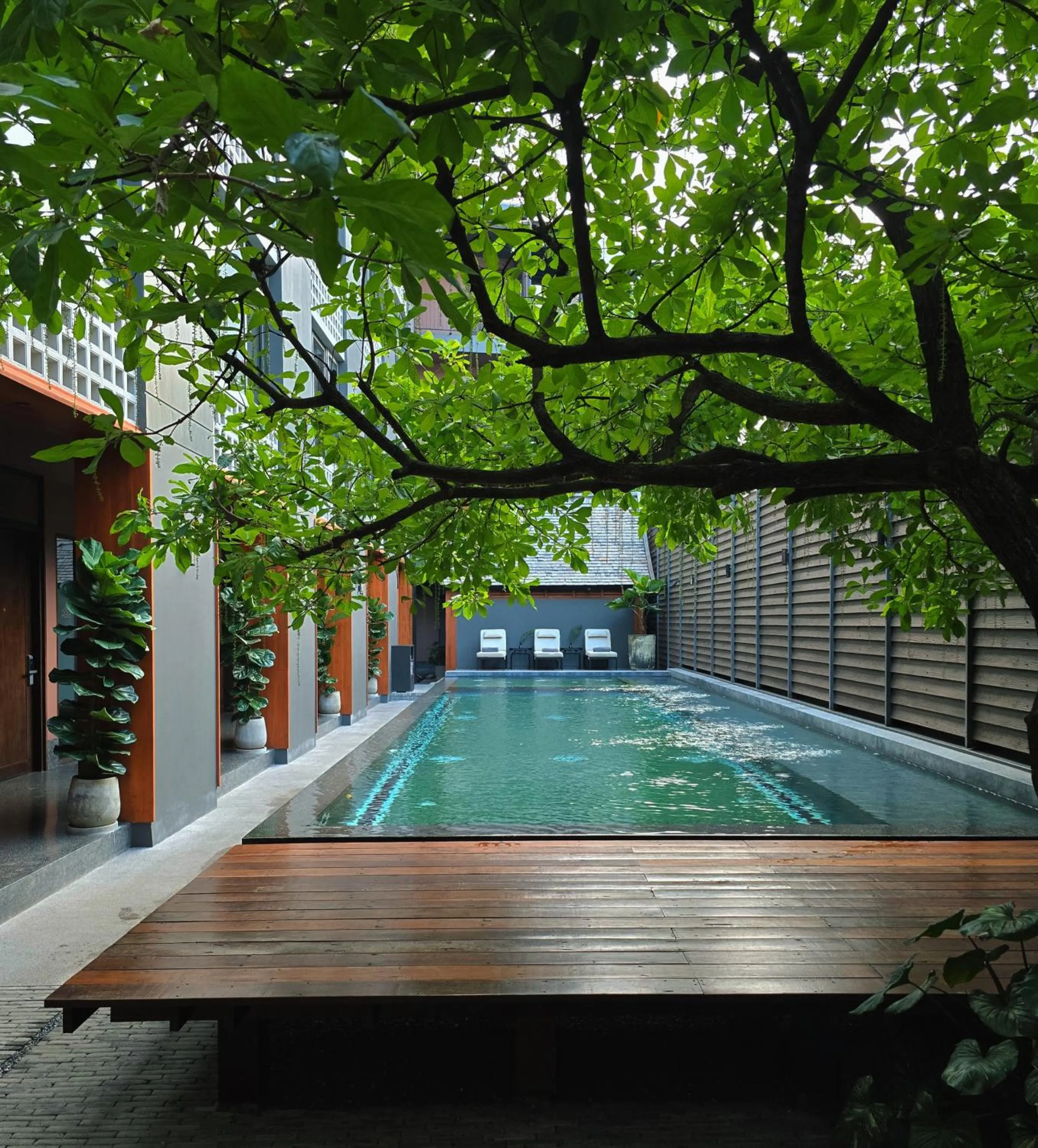 Pool view in Hotel Loy Chiang Mai