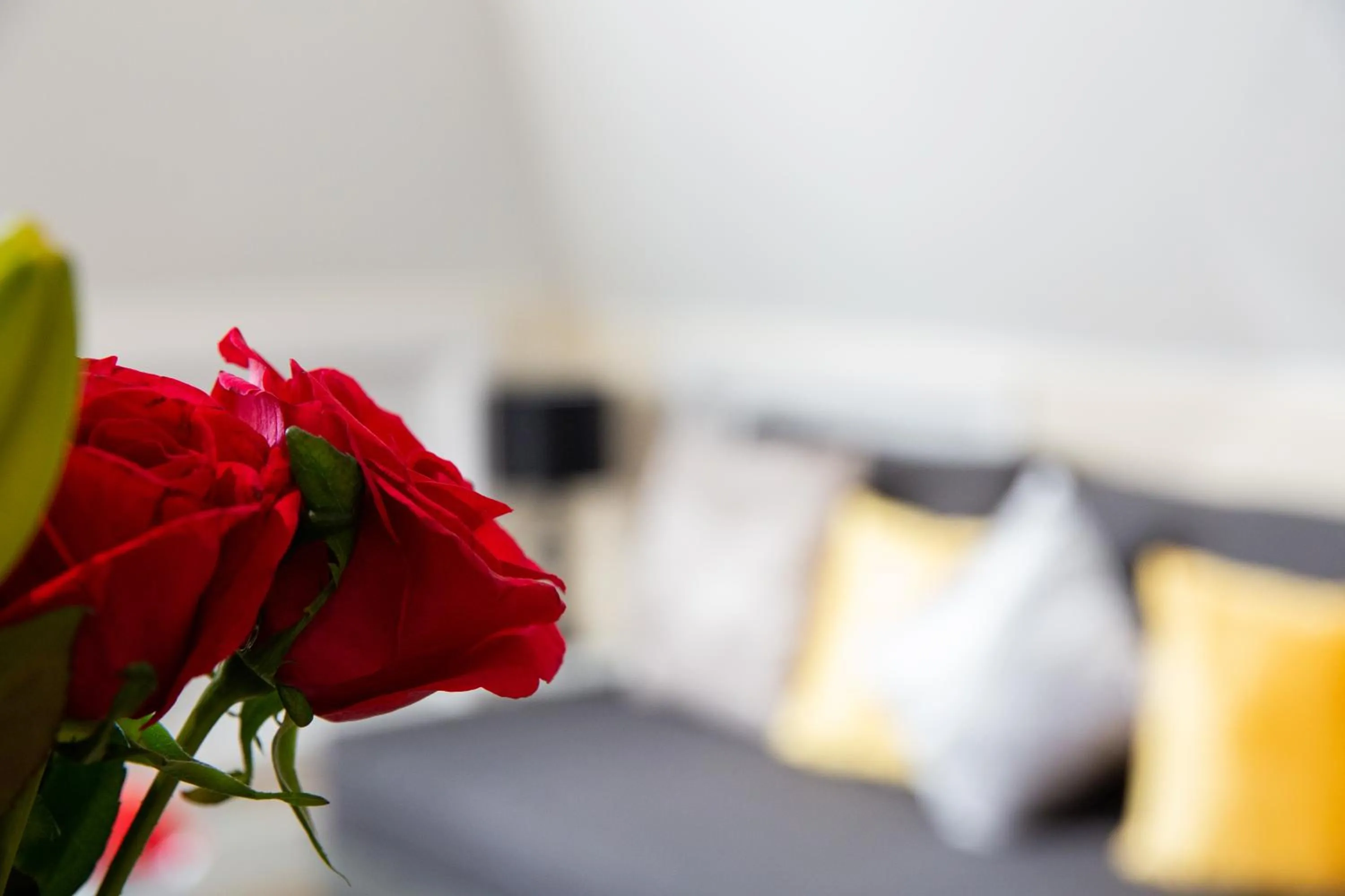 Other in Velvet 2-bedroom apartment, Clockhouse, Hoddesdon