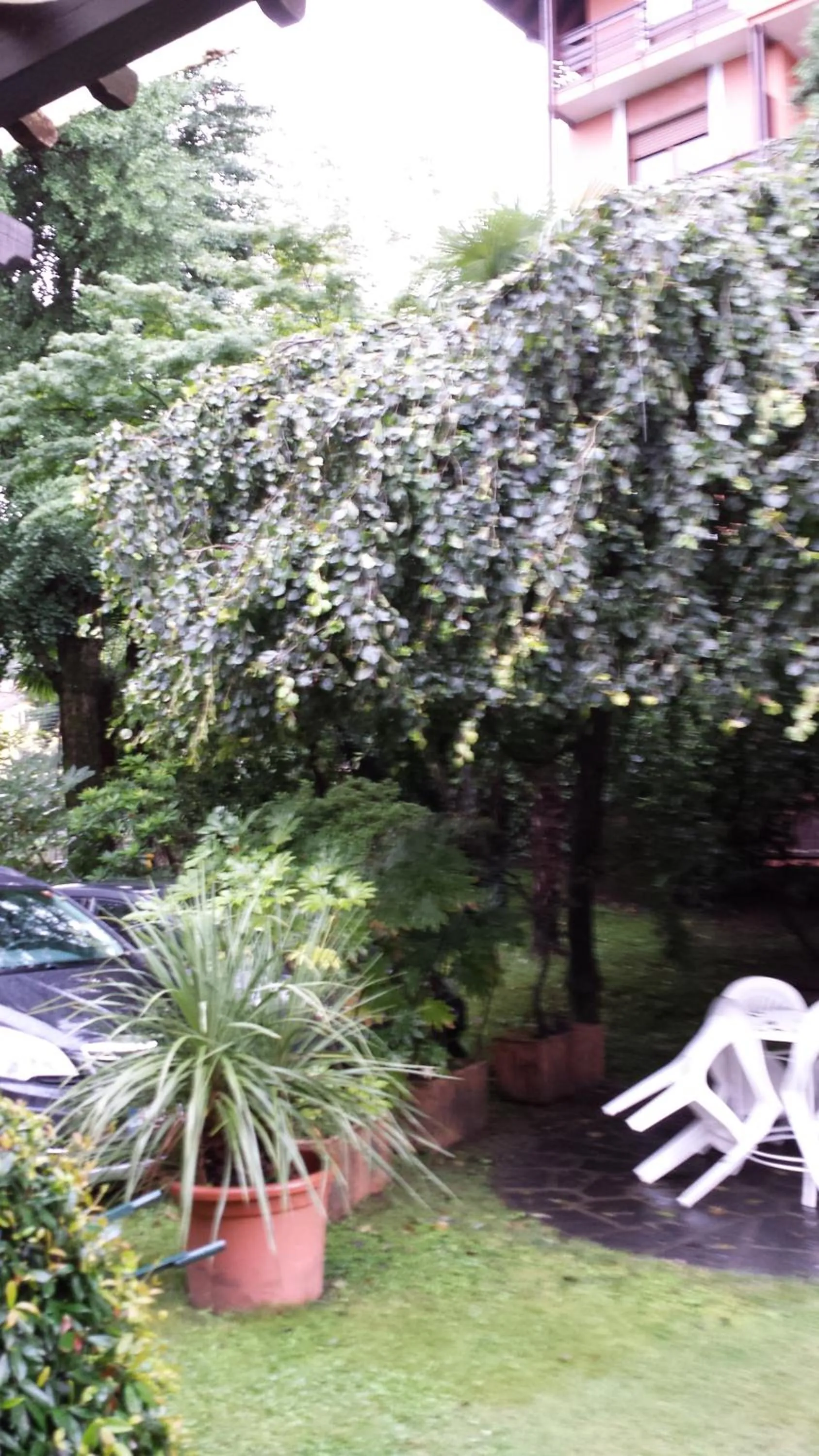 Garden in Bed & Breakfast Gli Oleandri