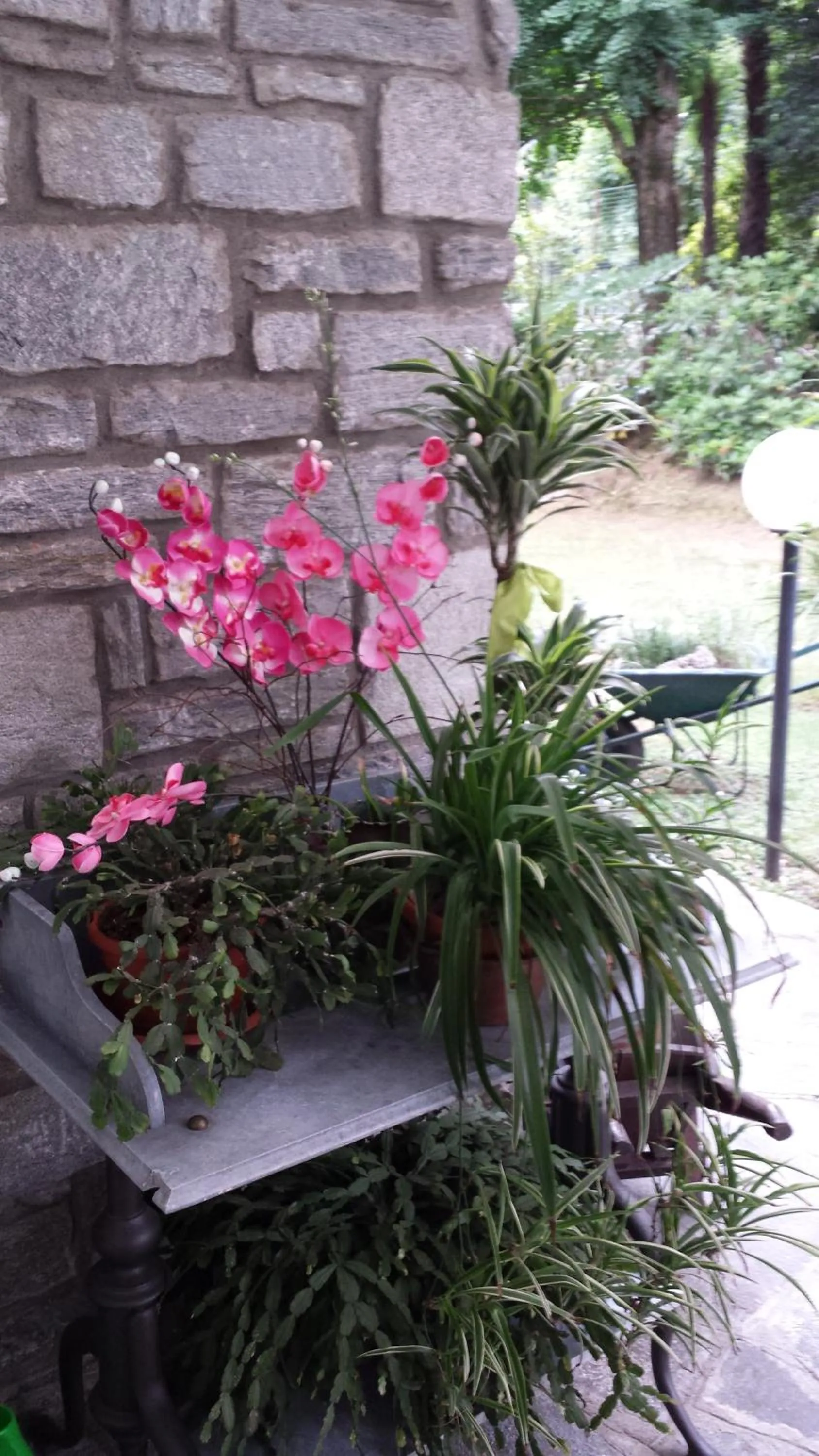 Garden in Bed & Breakfast Gli Oleandri