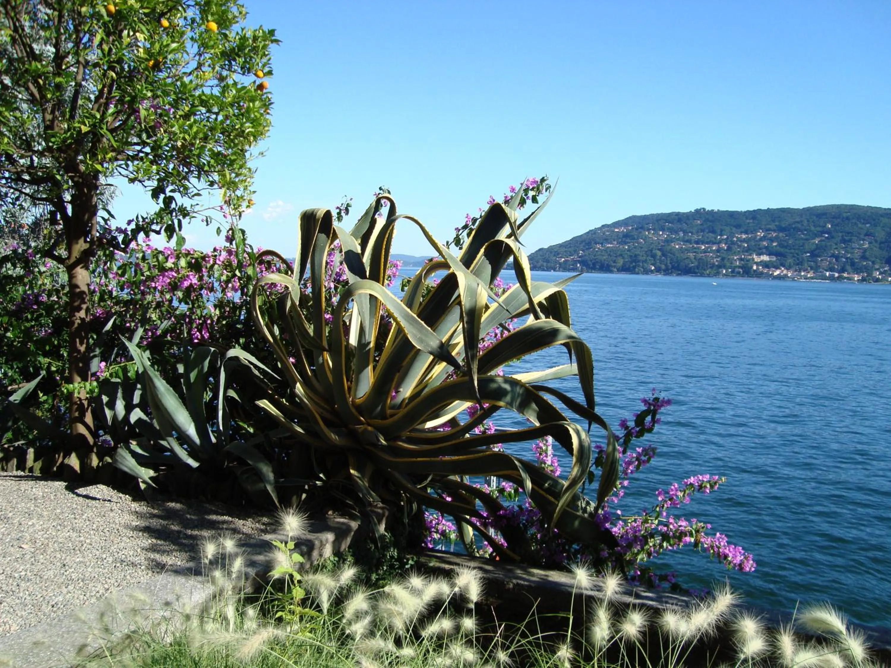 Nearby landmark in Bed & Breakfast Gli Oleandri