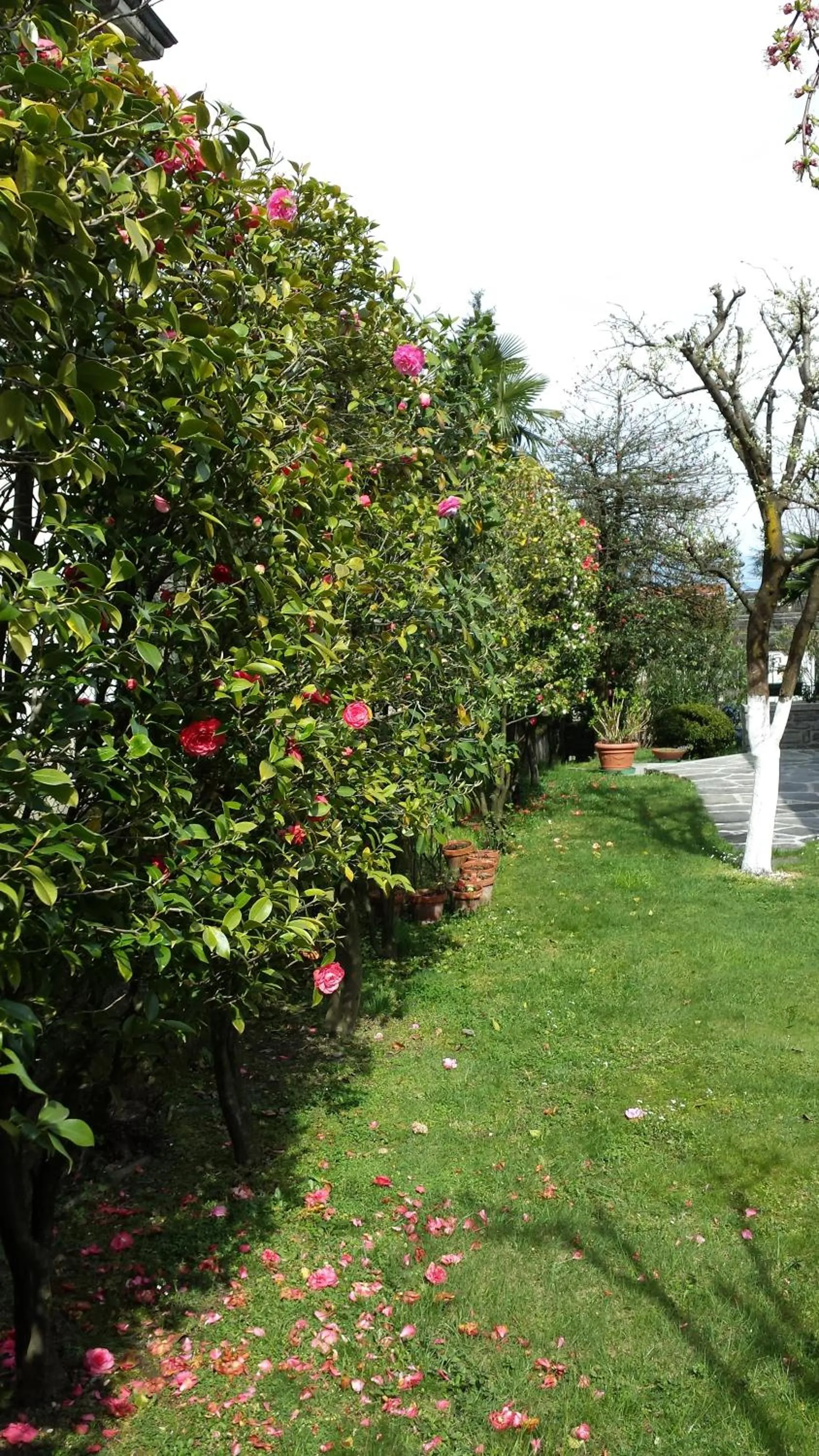 Garden in Bed & Breakfast Gli Oleandri