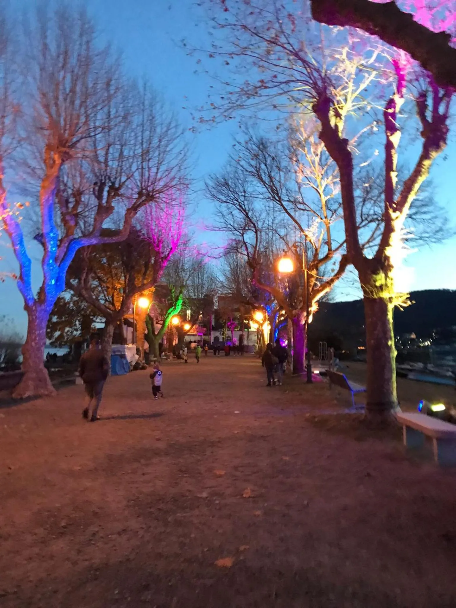 Bird's eye view in Bed & Breakfast Gli Oleandri