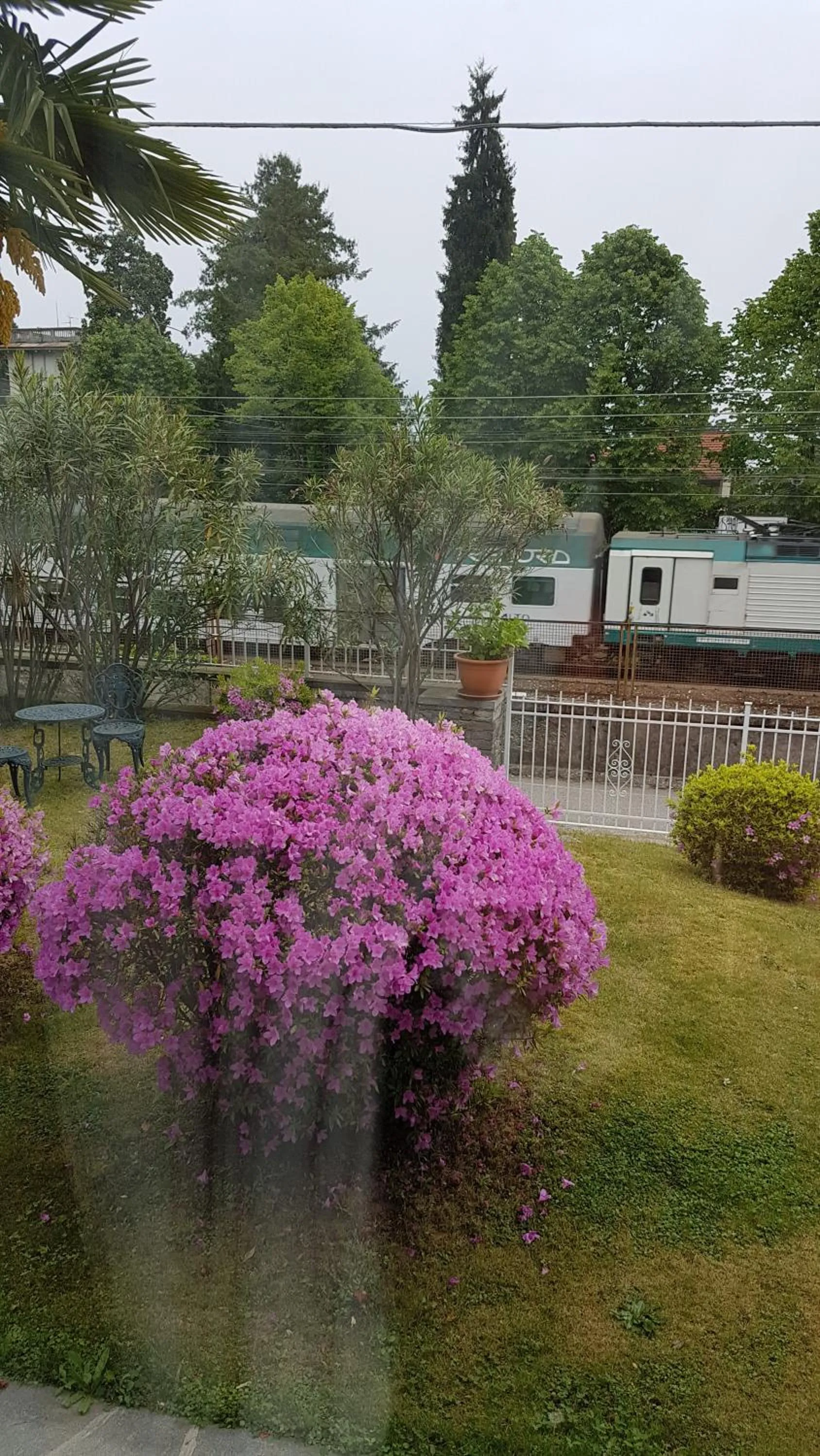 Bed & Breakfast Gli Oleandri