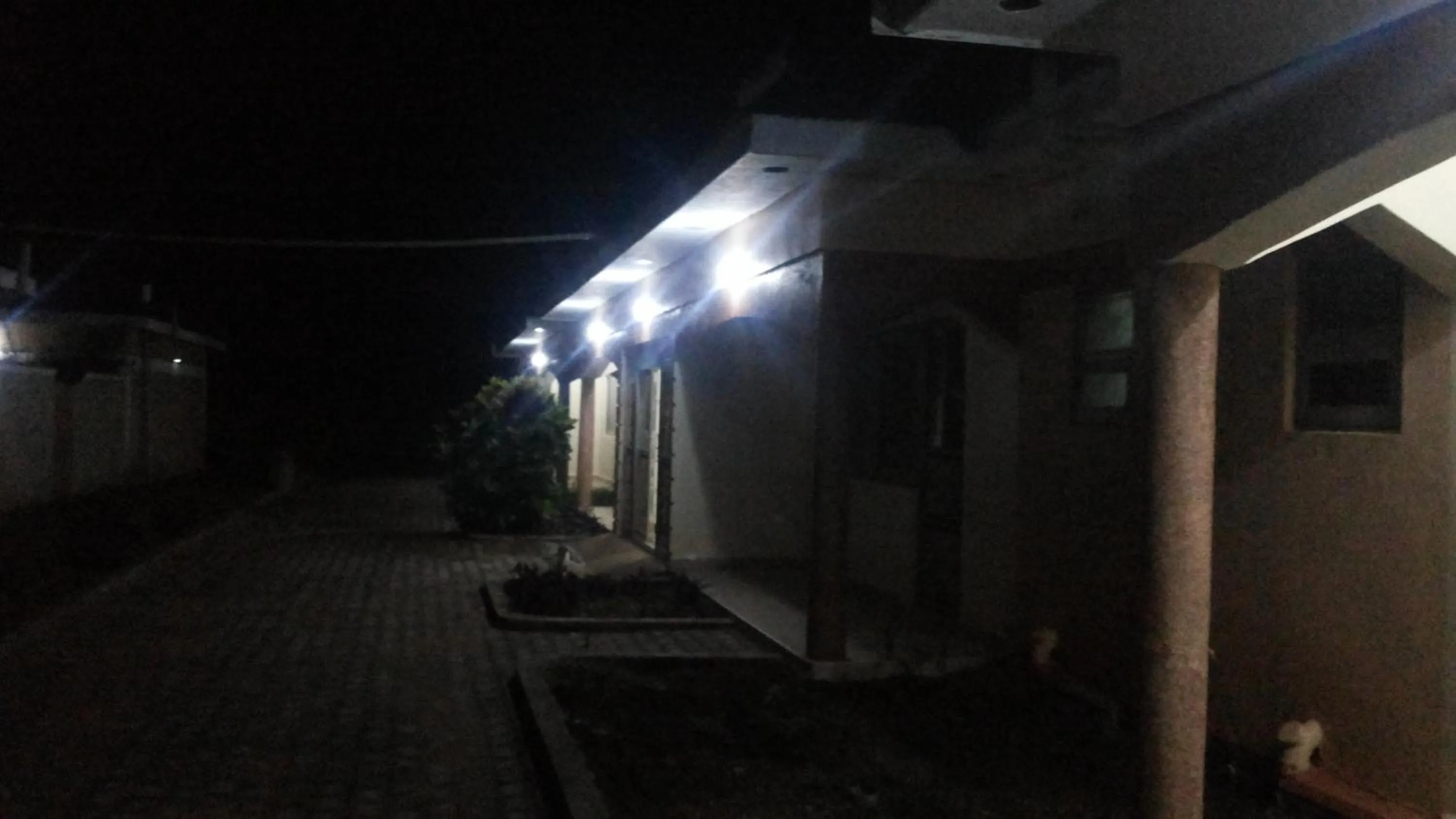 Facade/entrance in Hotel Premier