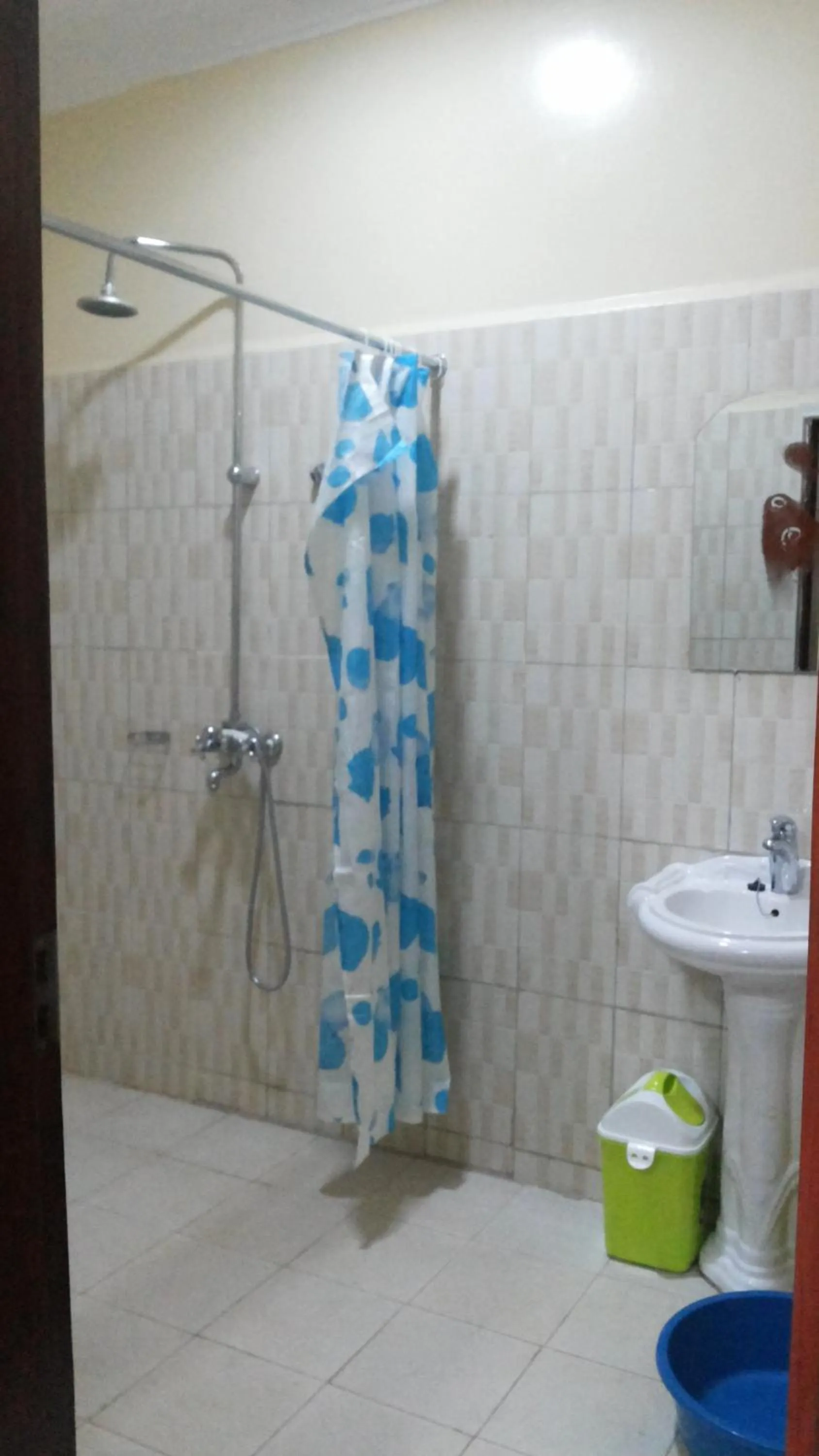 Bathroom in Hotel Premier