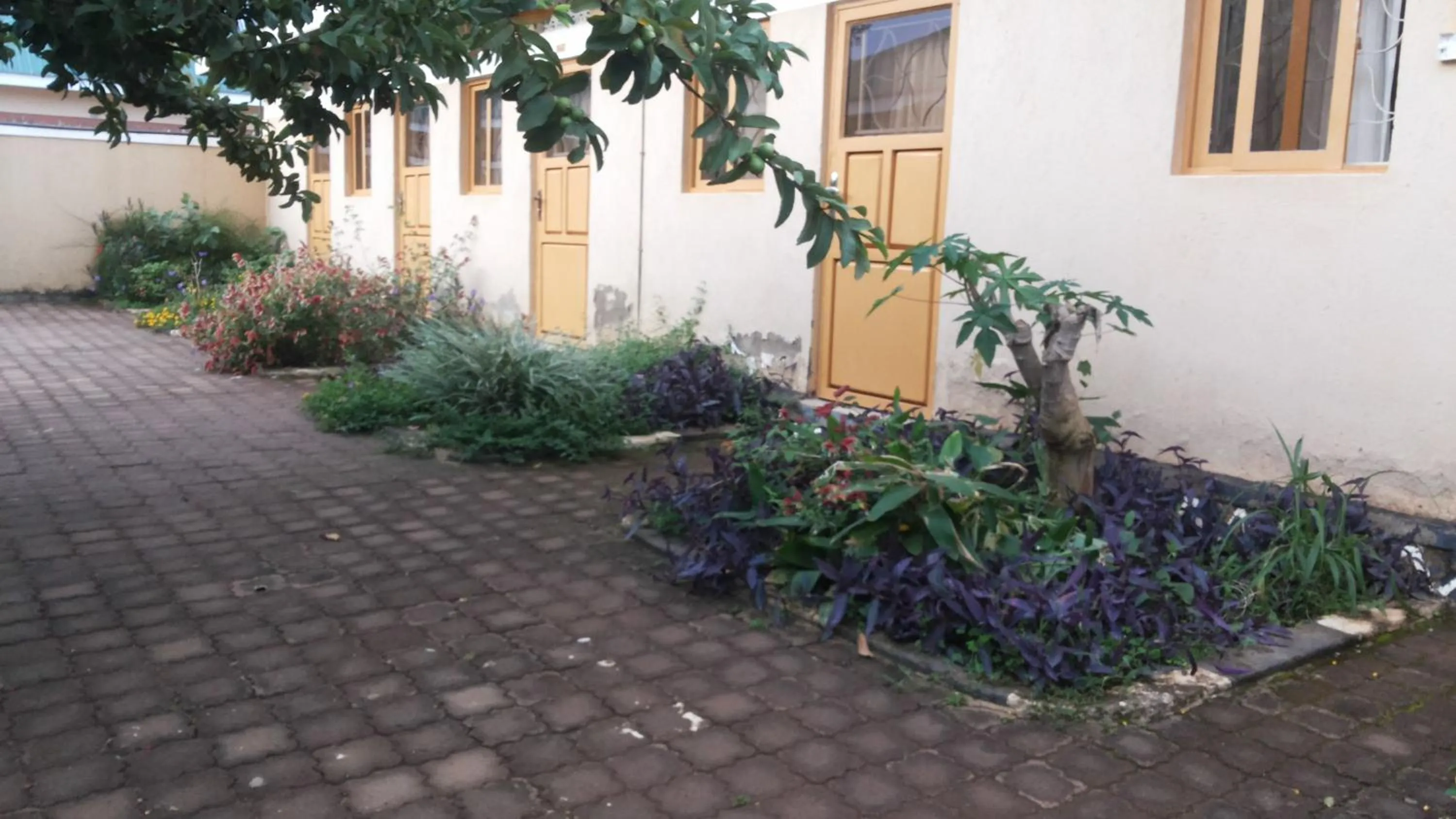 Property building in Hotel Premier