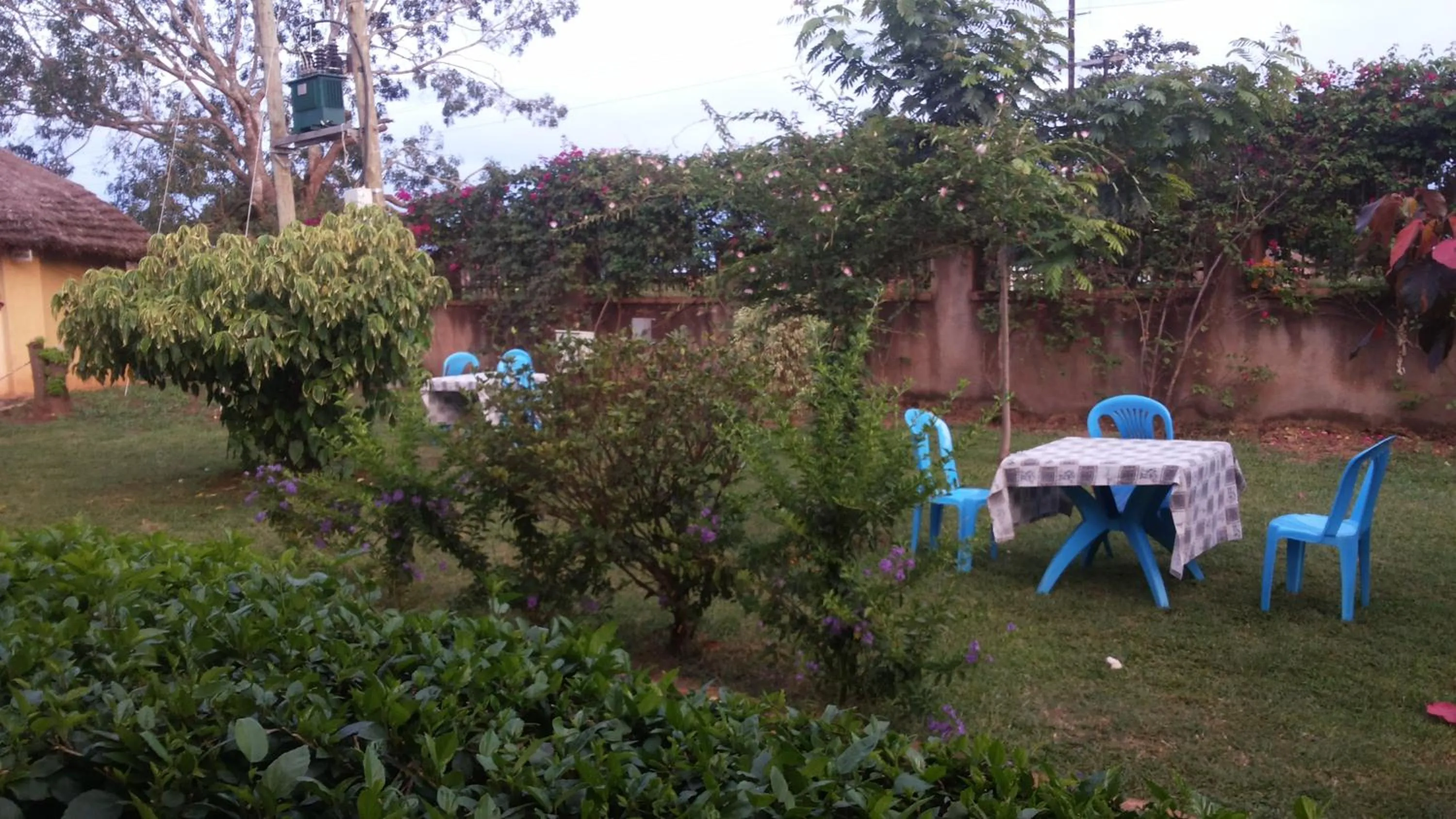 Garden in Hotel Premier