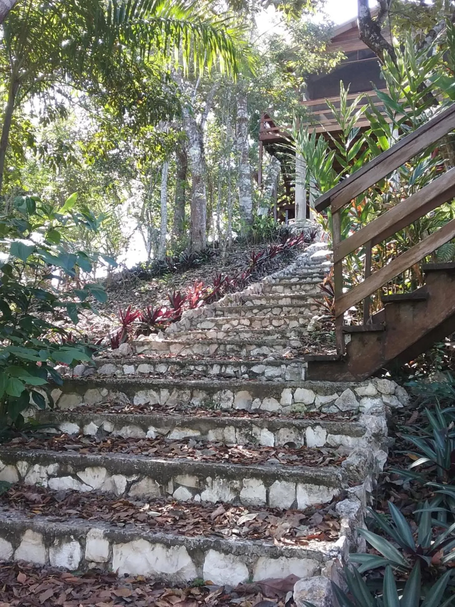 Garden in Santa Cruz Cabins