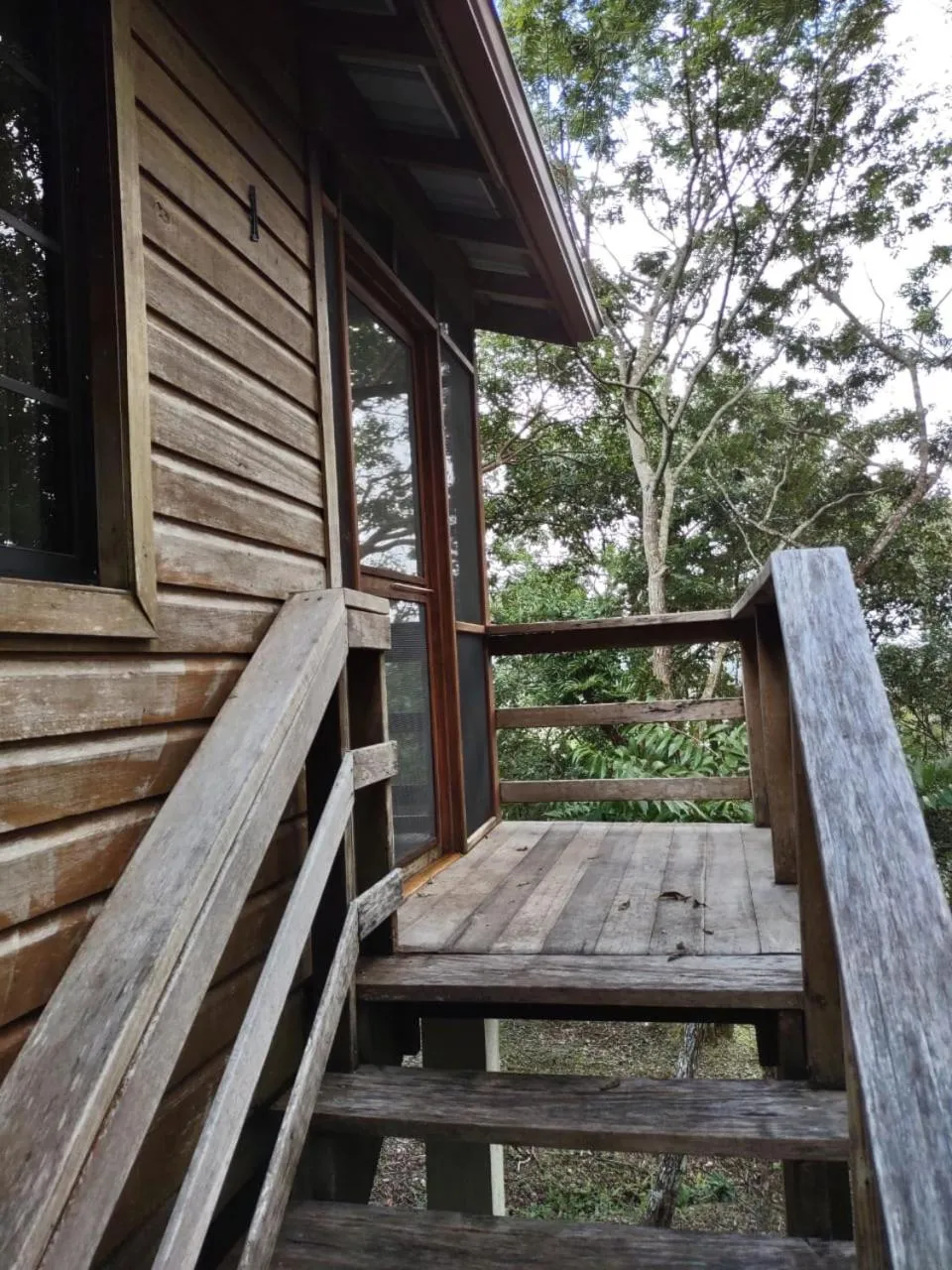 View (from property/room) in Santa Cruz Cabins