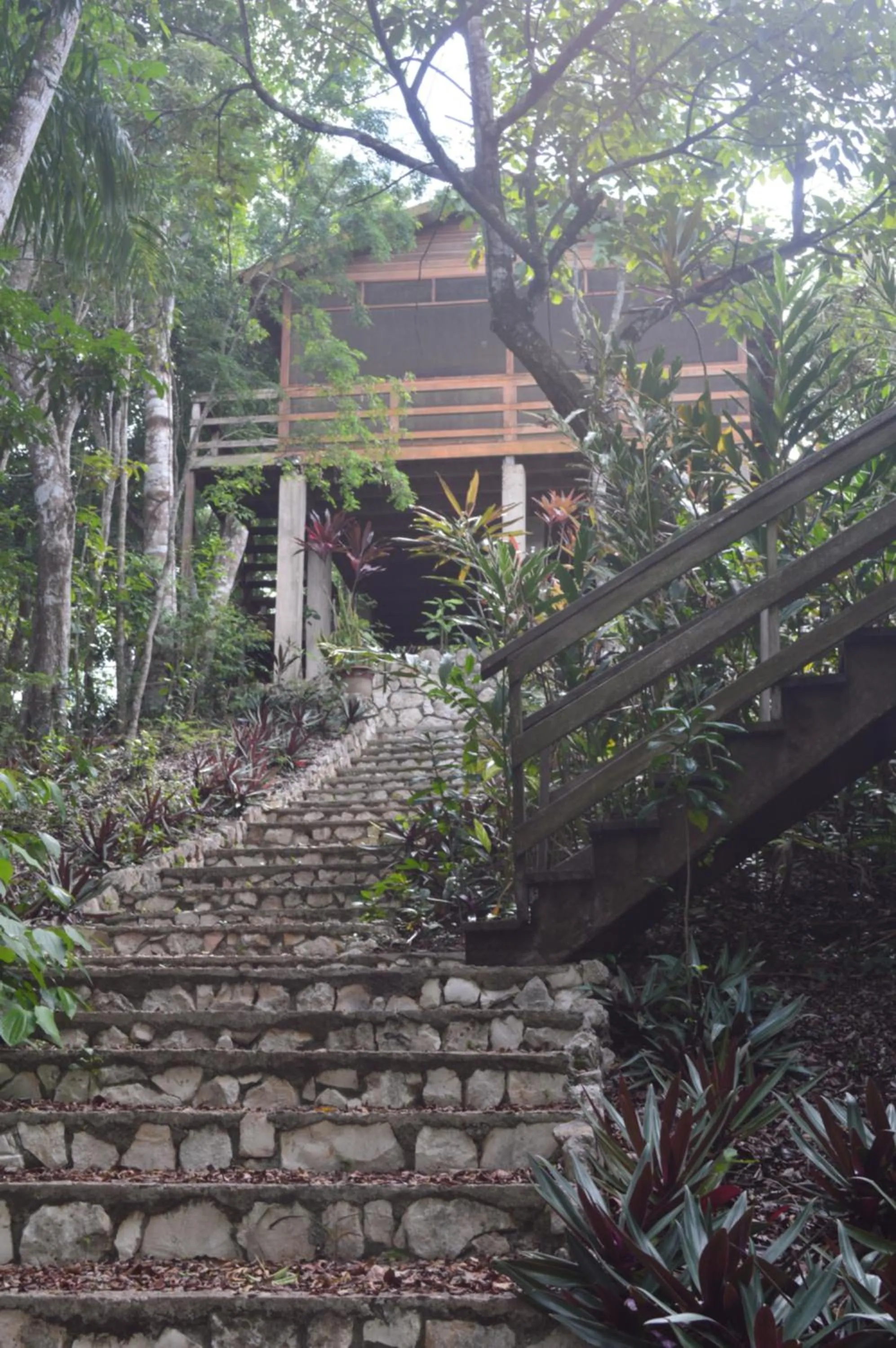 Facade/entrance in Santa Cruz Cabins