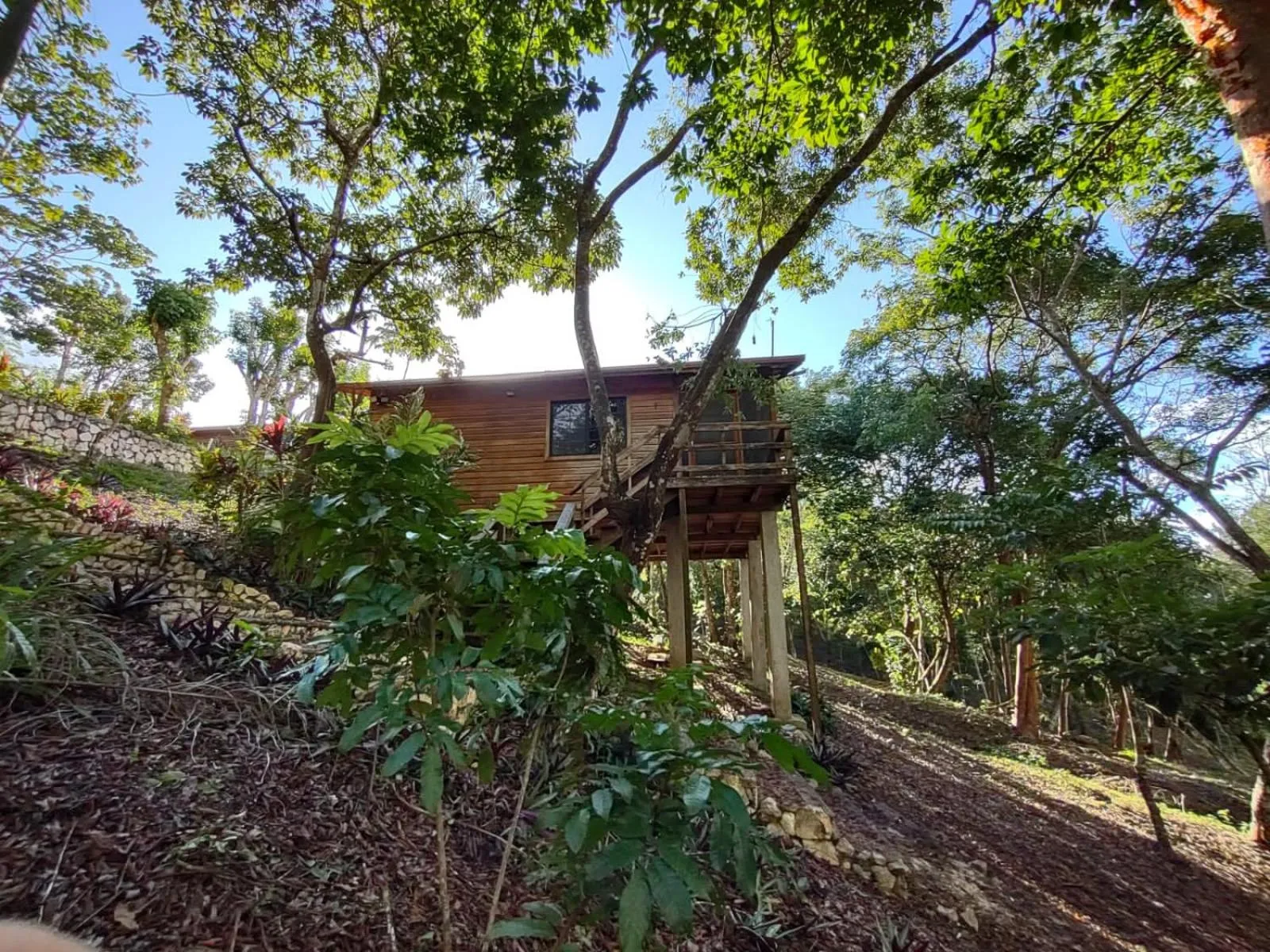 Property building in Santa Cruz Cabins