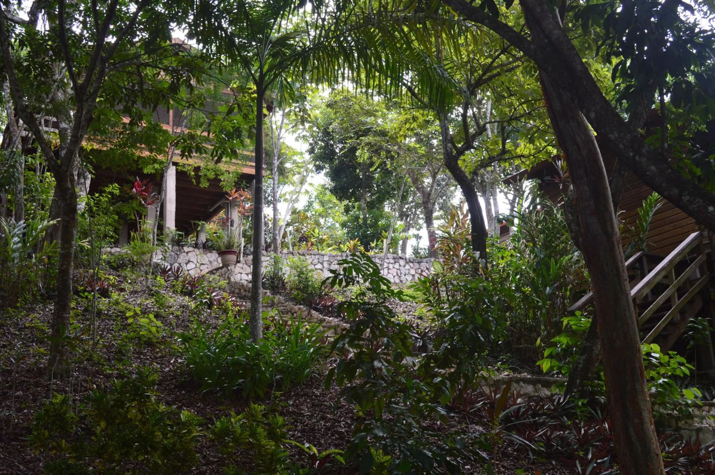 Natural landscape in Santa Cruz Cabins