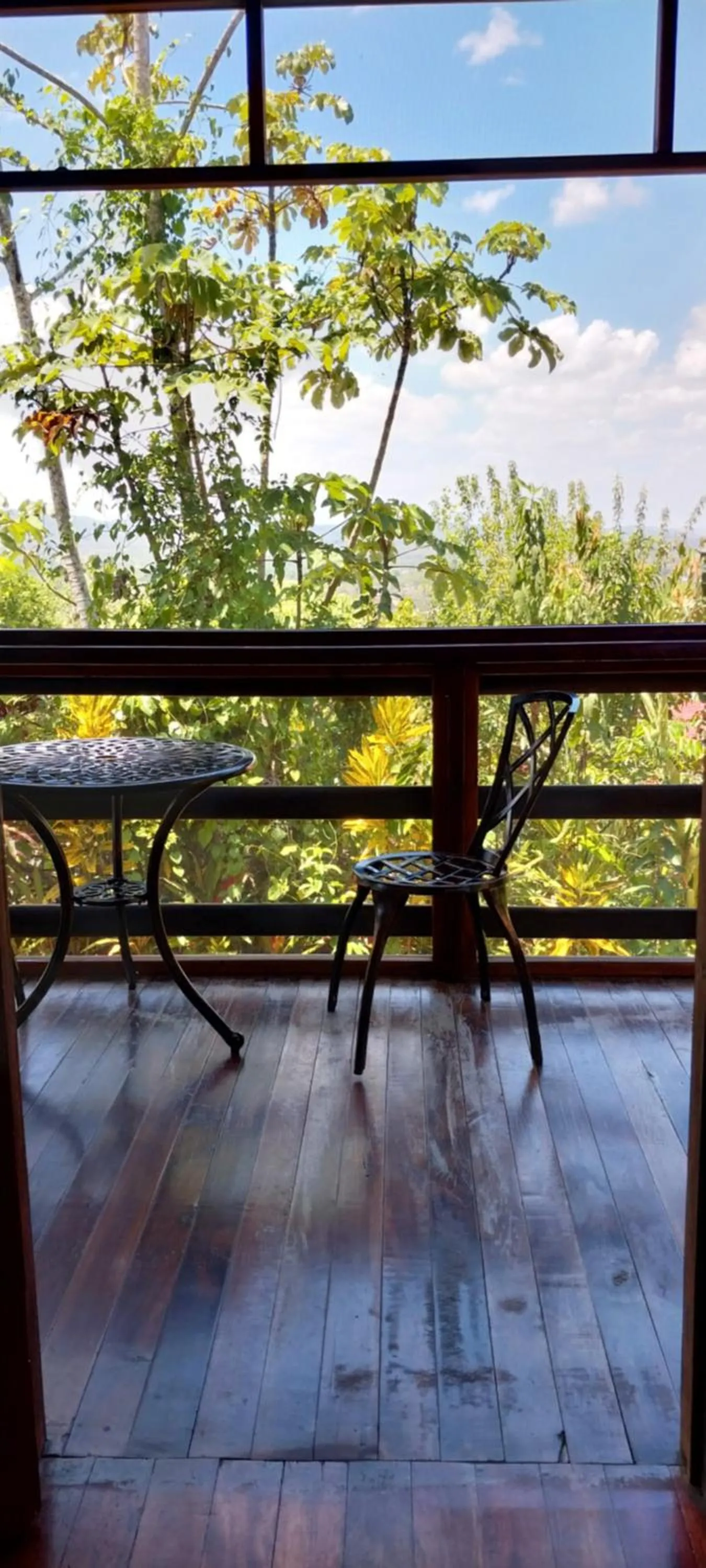 View (from property/room) in Santa Cruz Cabins